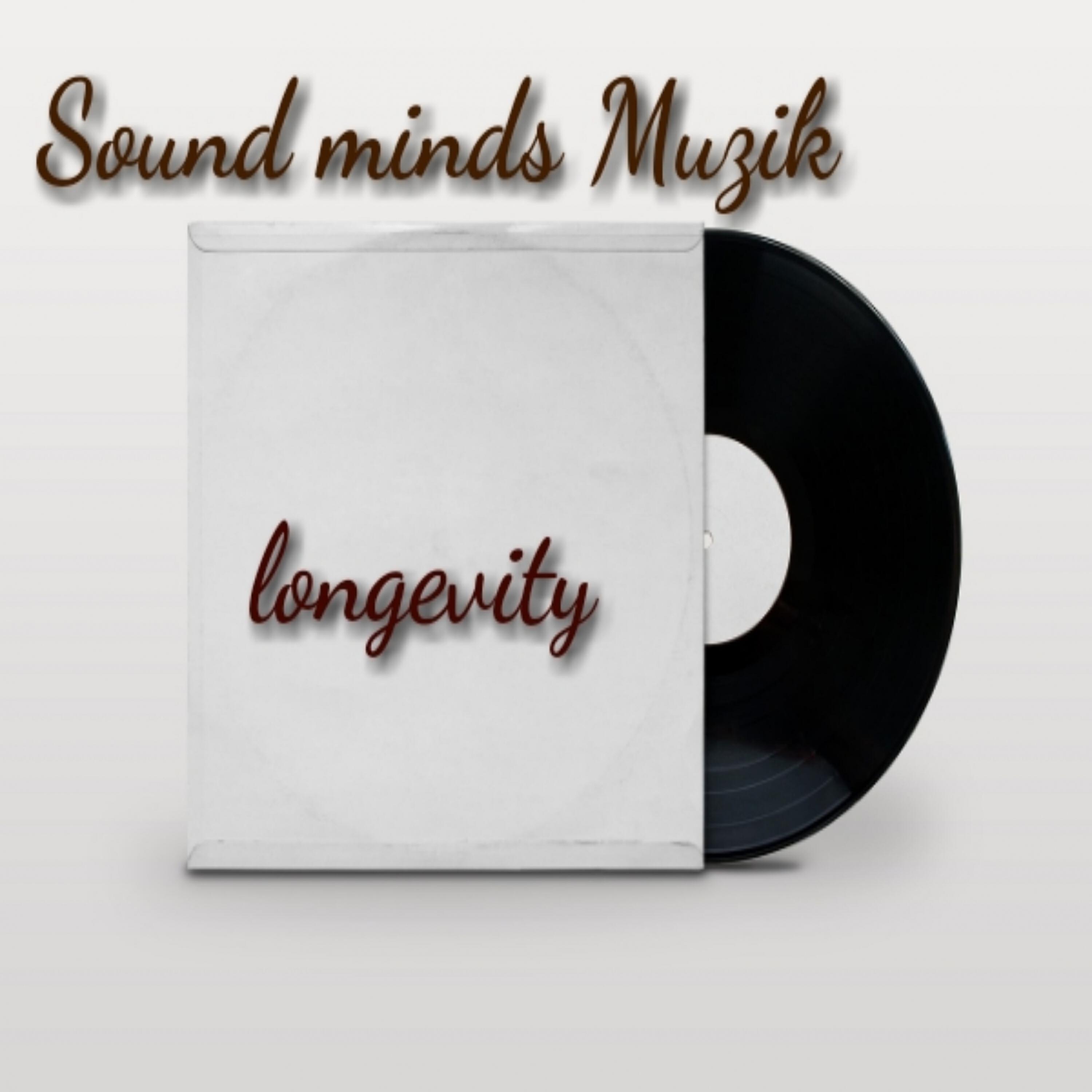 Sound minds Muzik - Let the B Light (Xquizit Tech Mix)