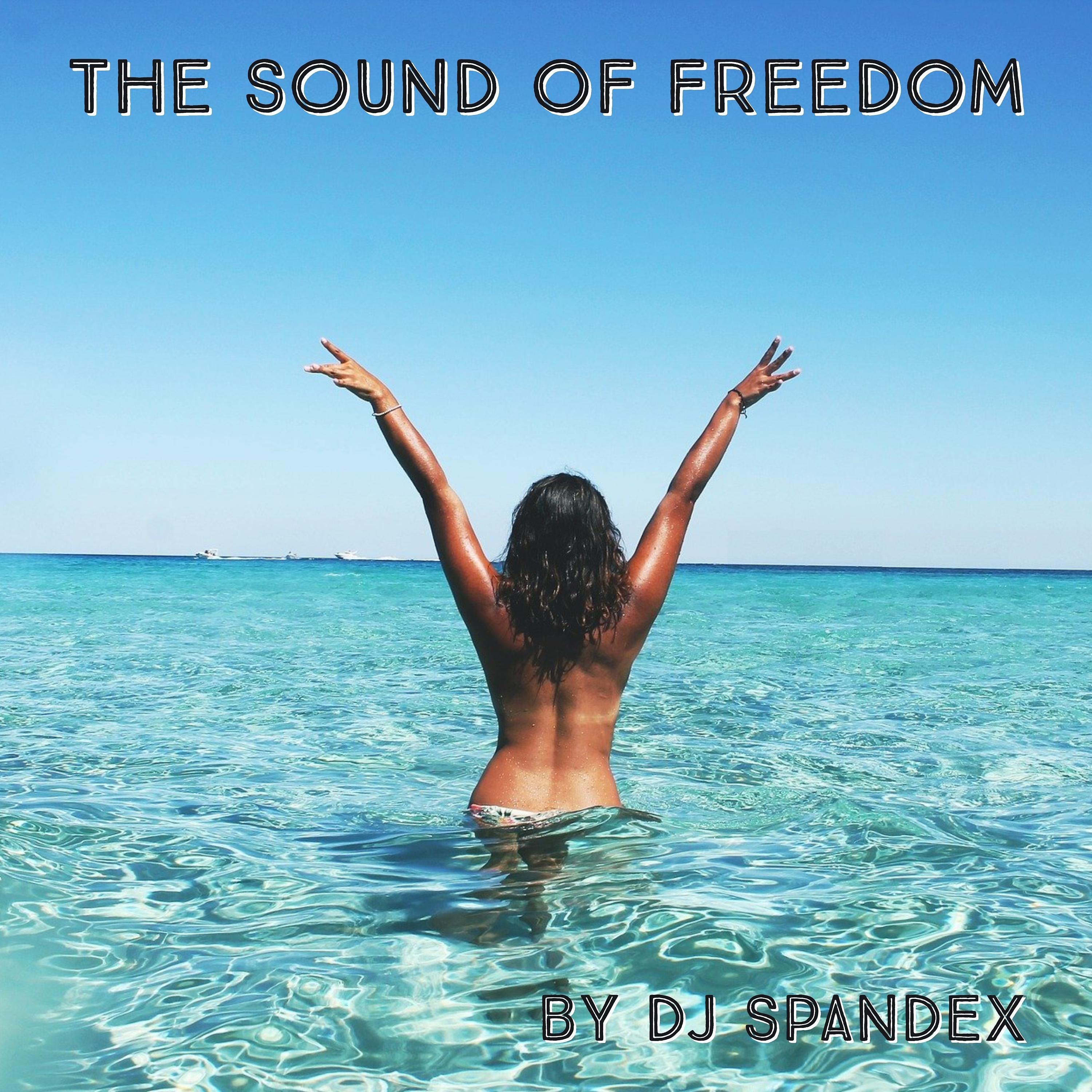 Постер альбома The Sound of Freedom