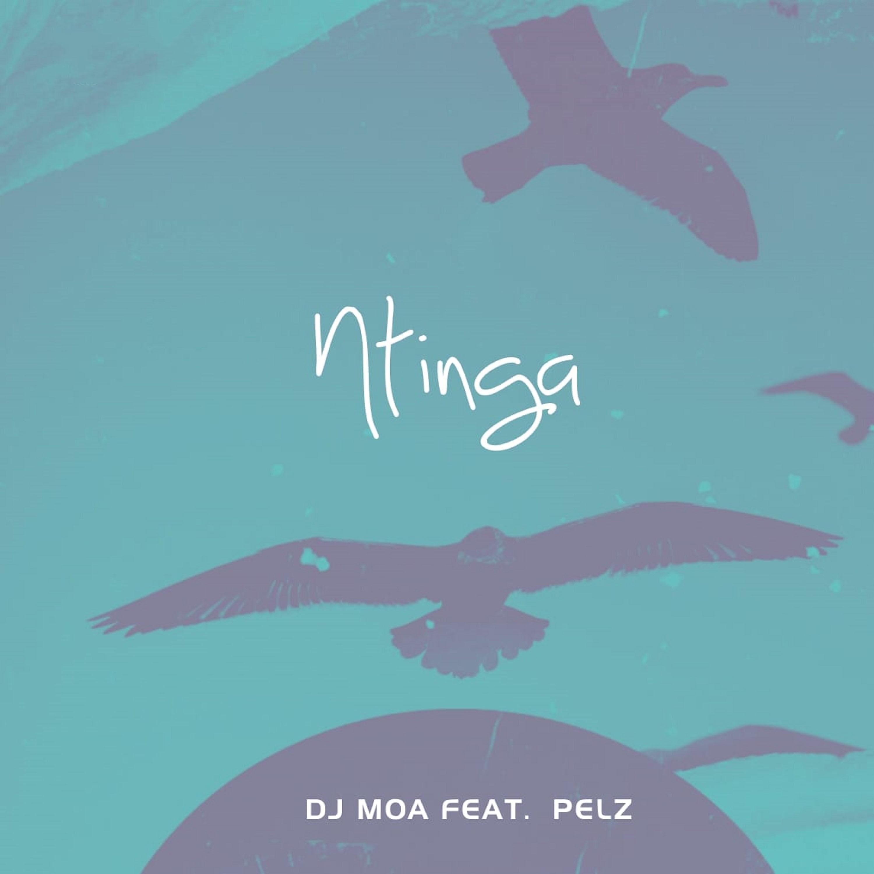 Постер альбома Ntinga