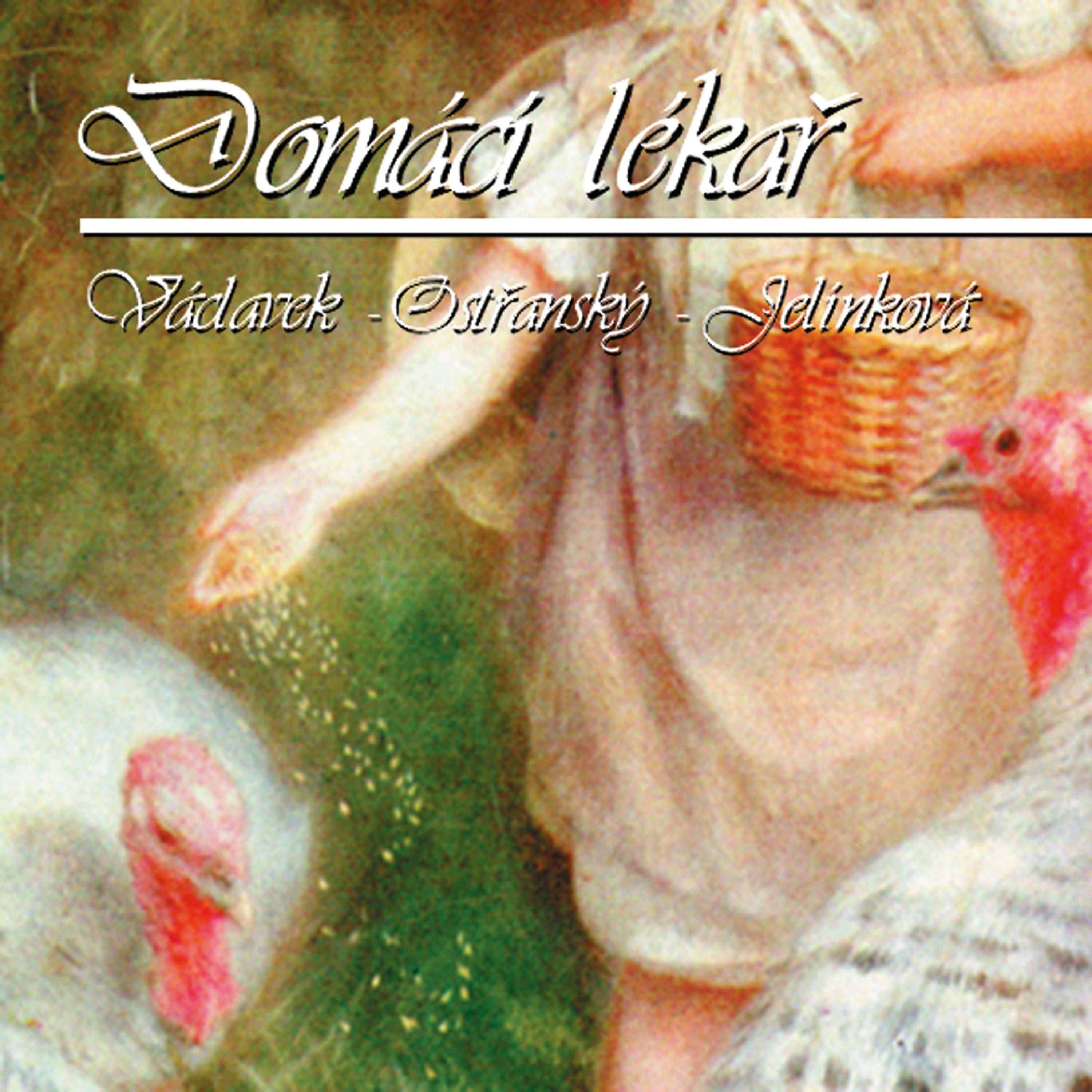 Постер альбома Domácí Lékař