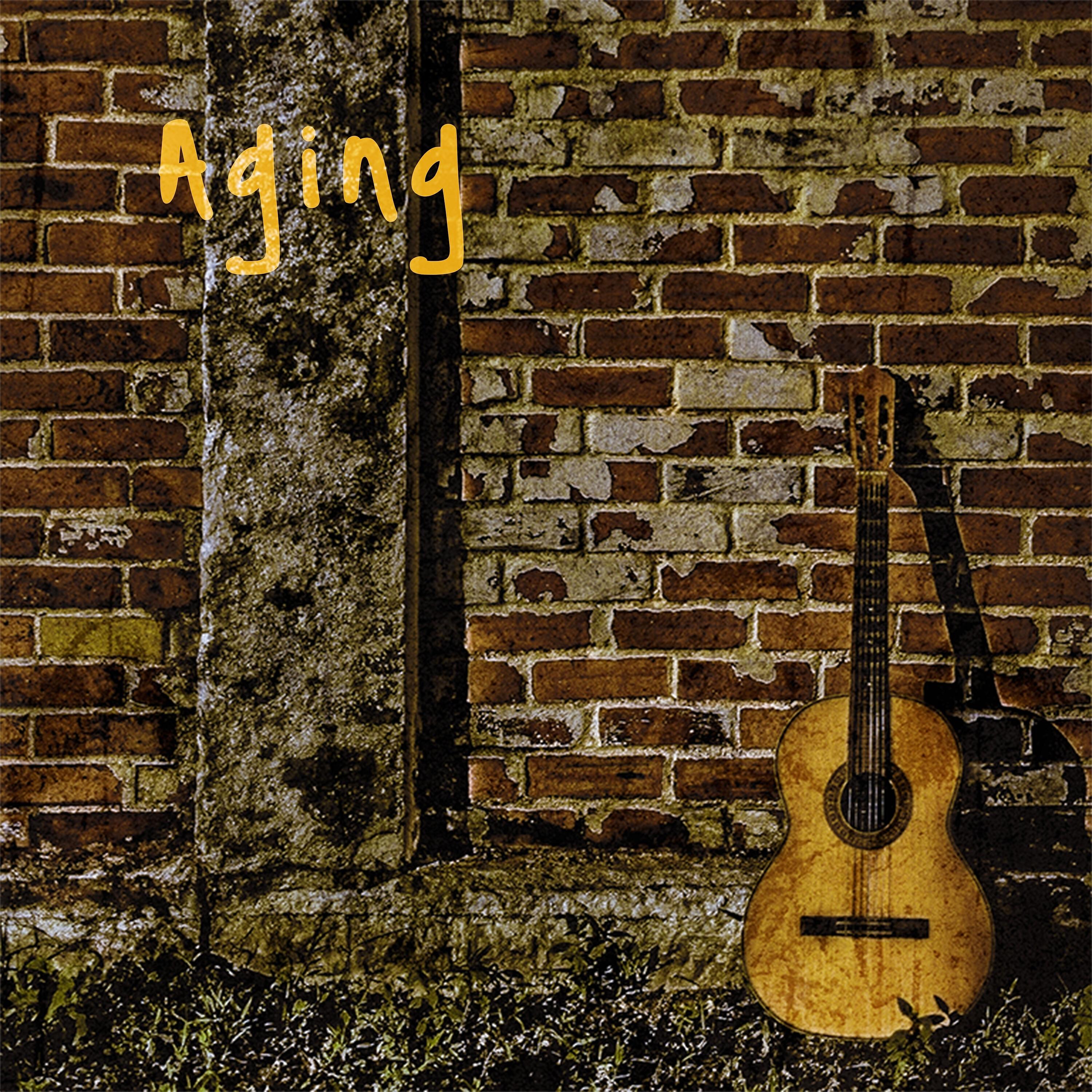 Otávio Mazer - Aging