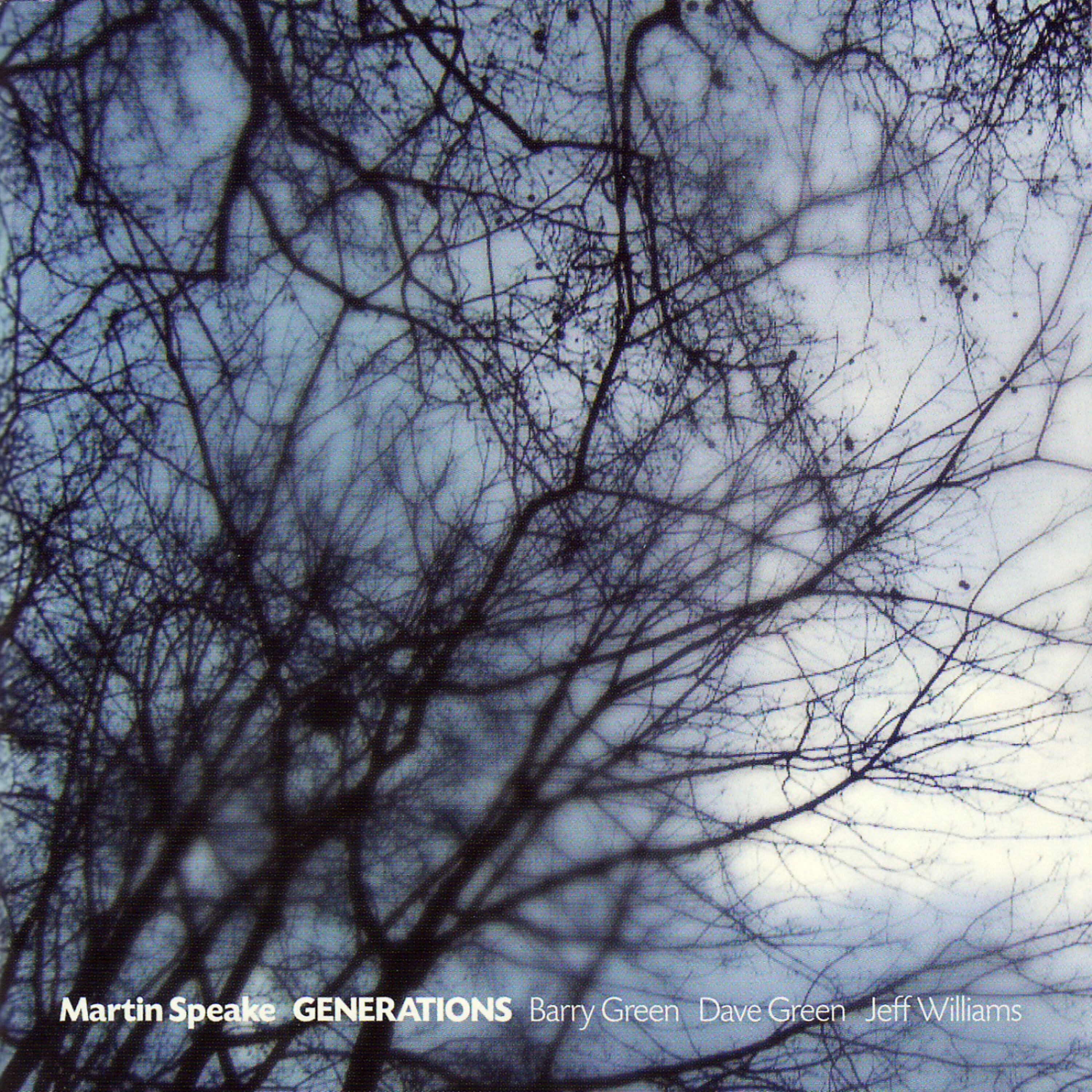 Martin Speake - I'm a Fool to Want You