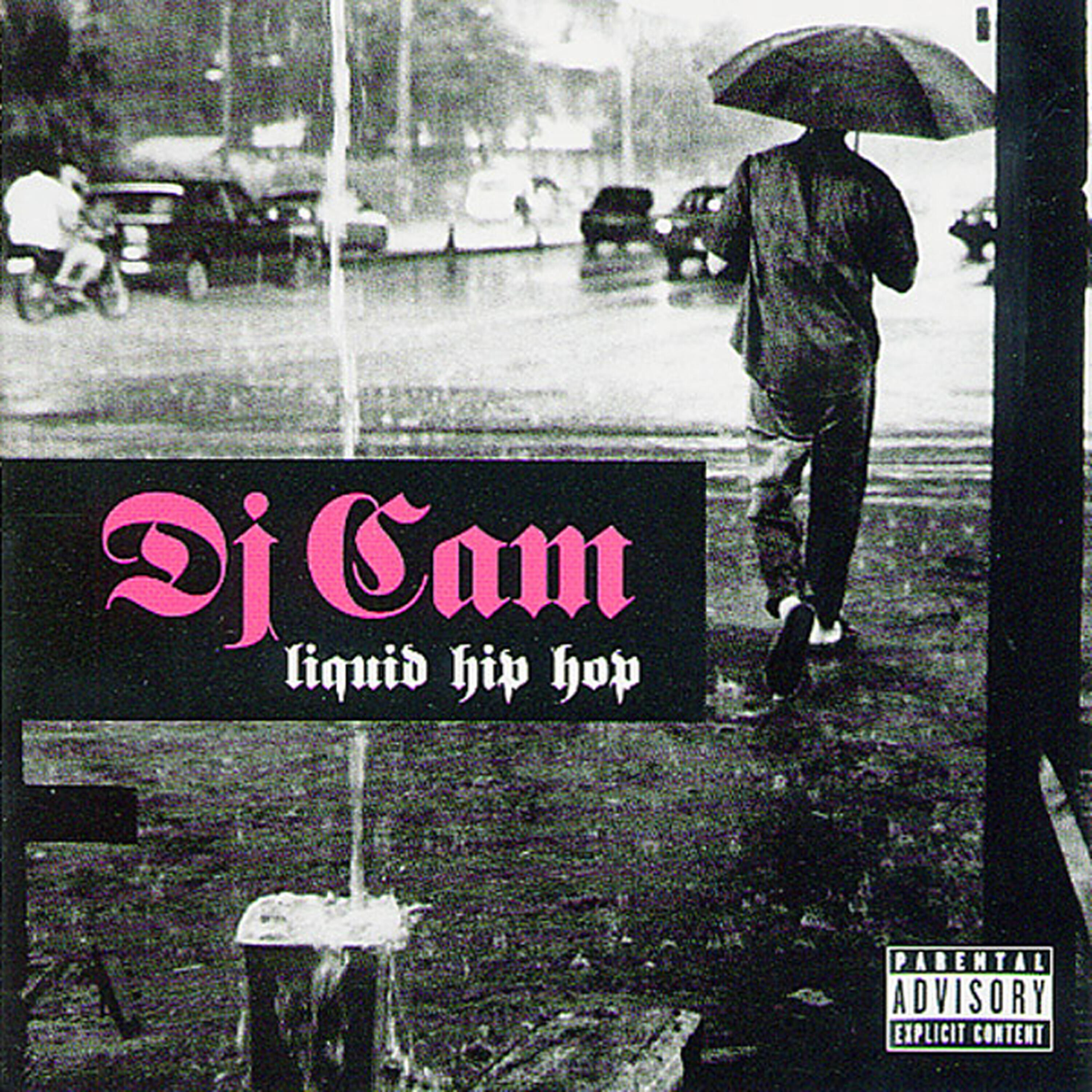 DJ Cam - Espionage Feat Guru (Dj Cam Street Remix)