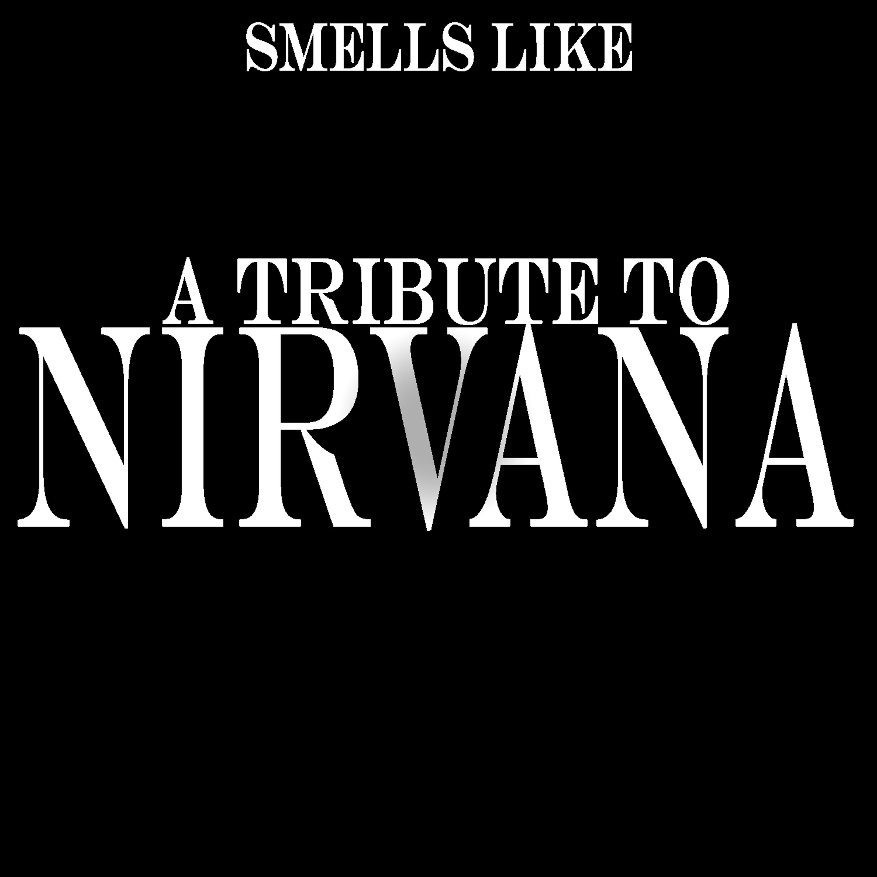 Постер альбома A Tribute To Nirvana