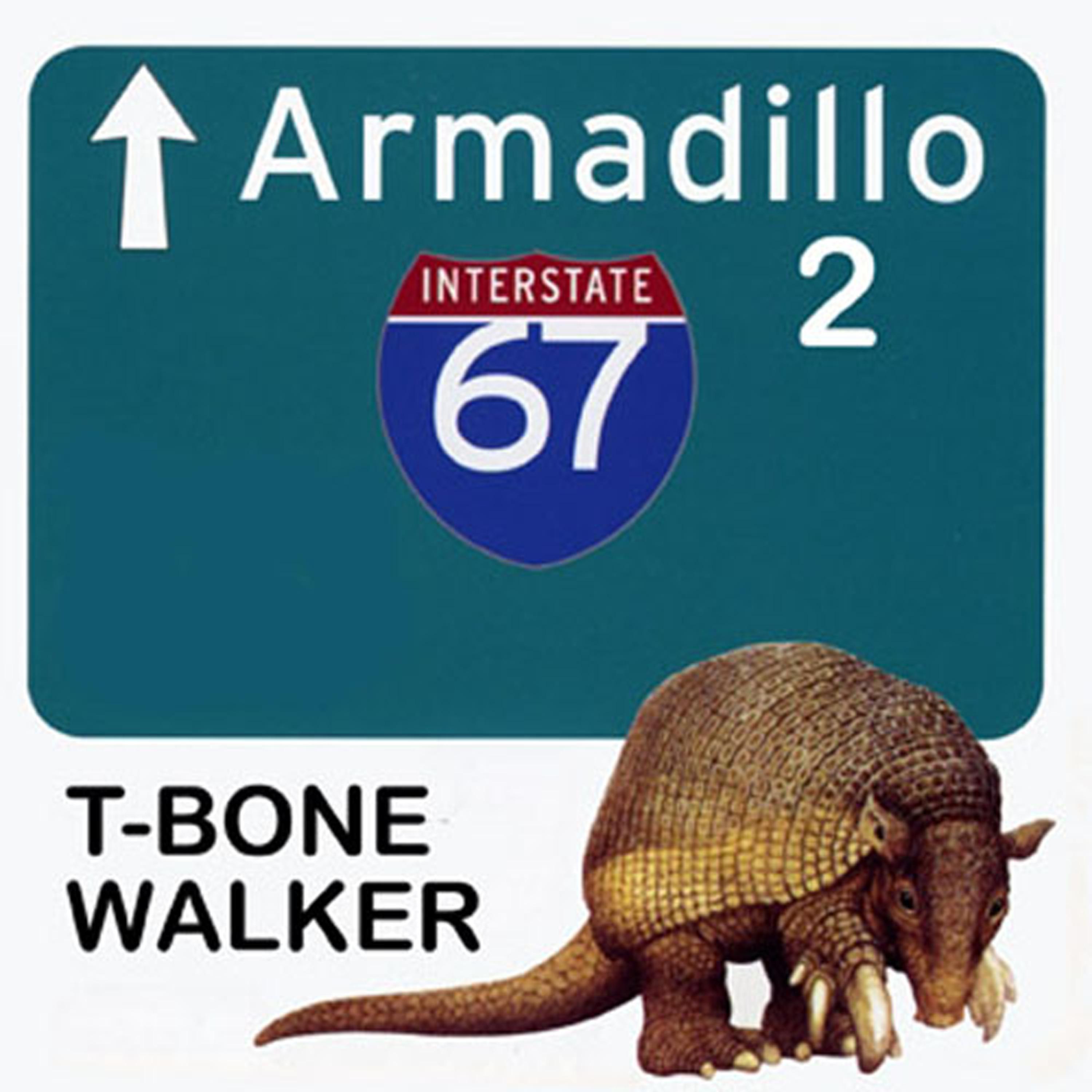 Постер альбома Armadillo 2