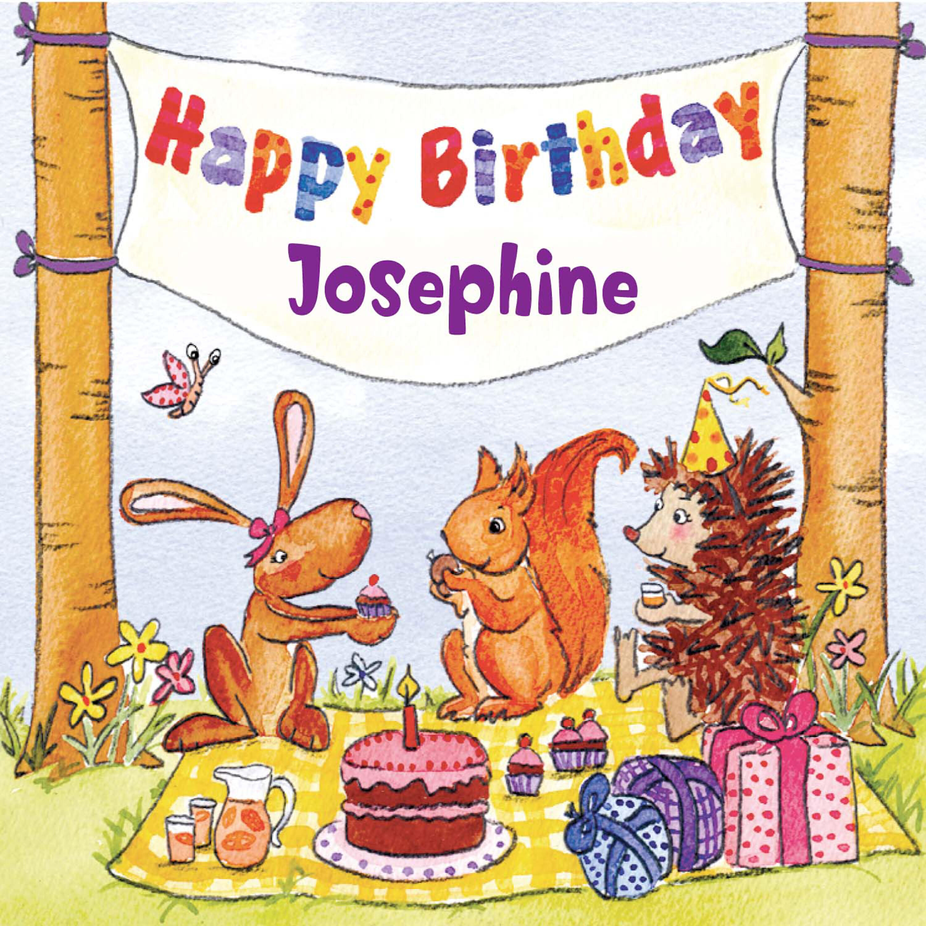 The Birthday Bunch - Hokey Cokey