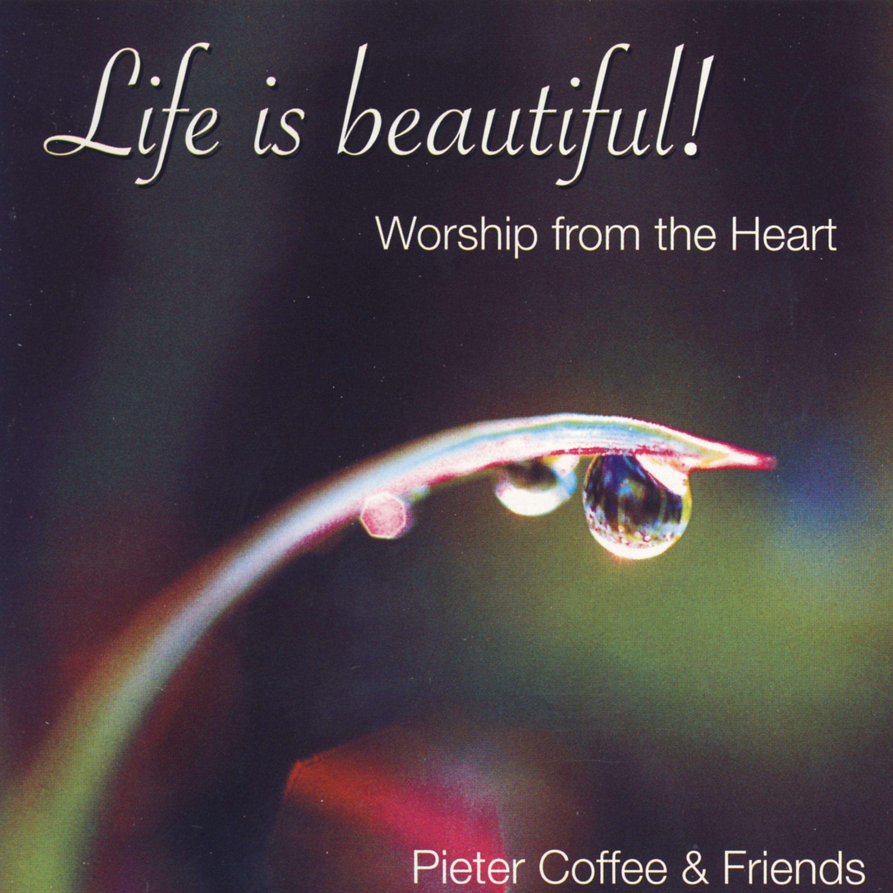 Постер альбома Life Is Beautiful! - Worship From The Heart