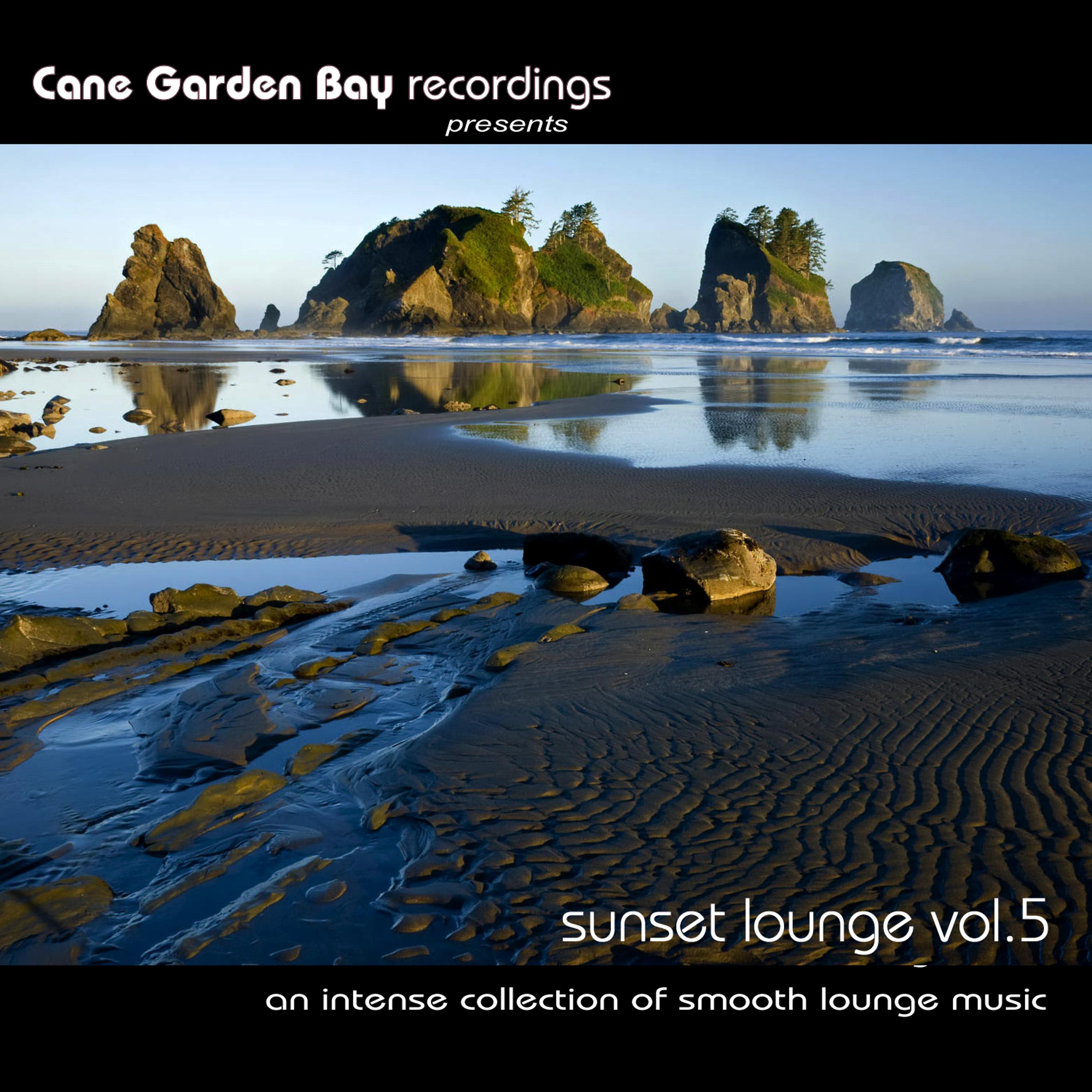 Постер альбома Sunset Lounge Vol. 5 - An intense collection of smooth lounge music