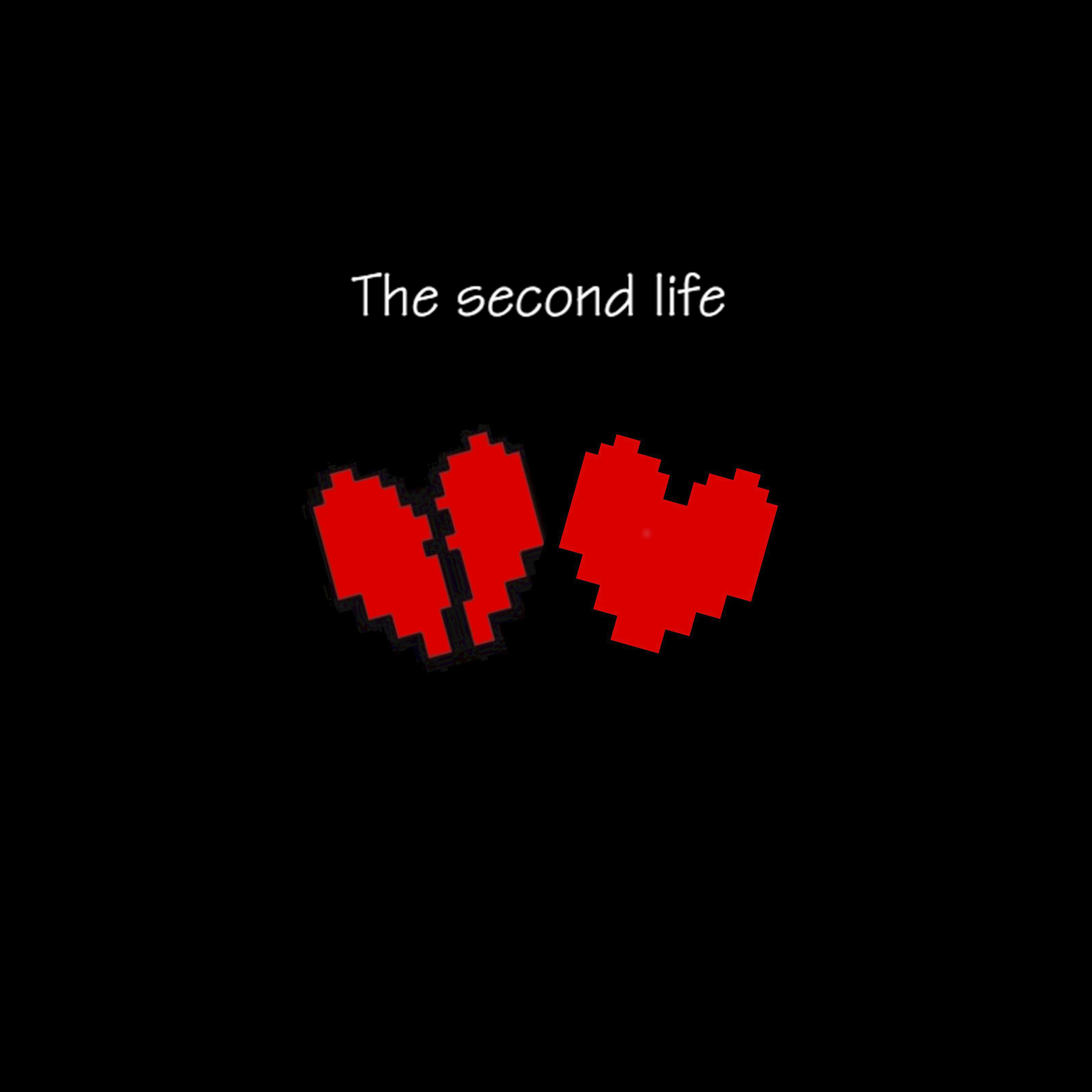 Постер альбома The Second Life