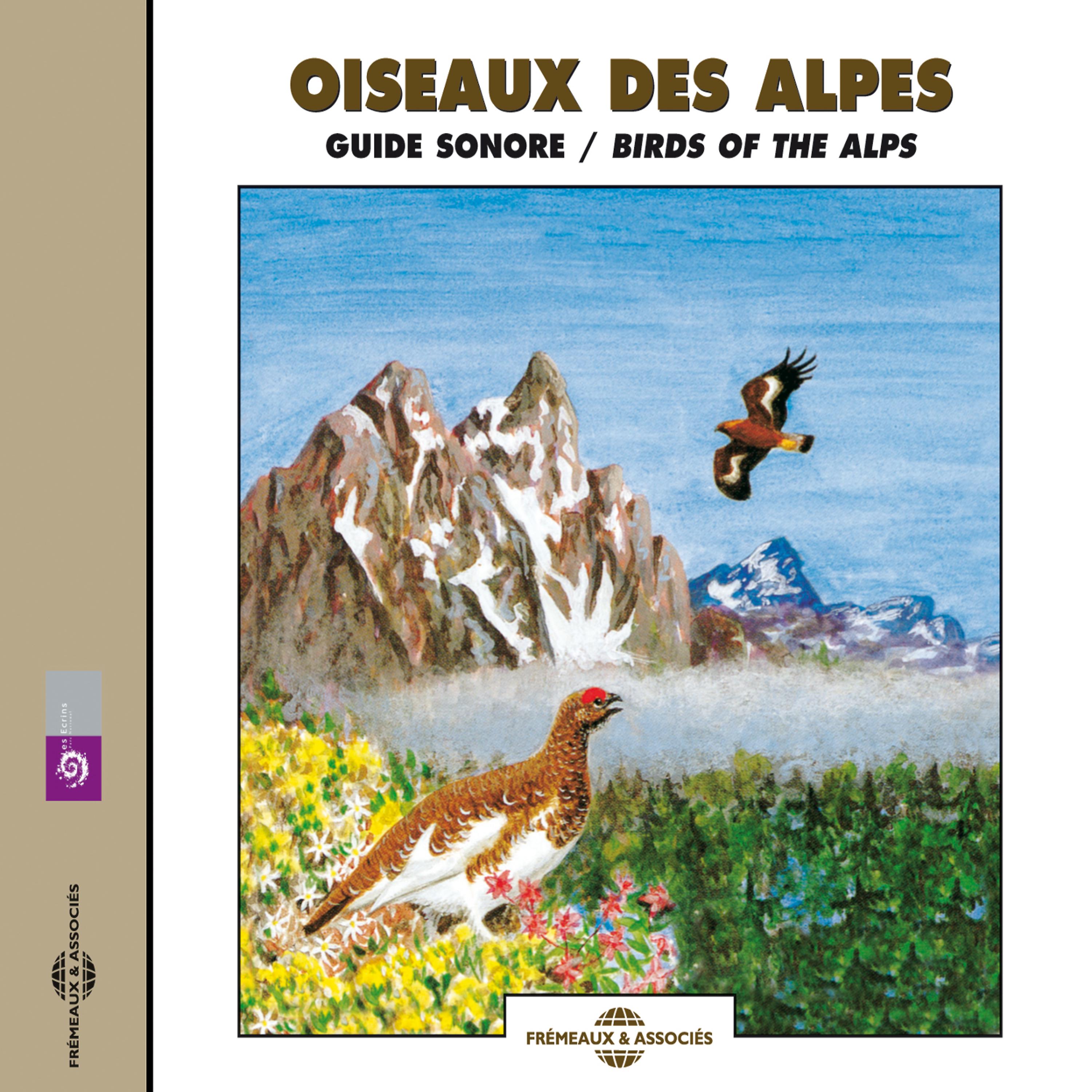 Постер альбома Birds Of The Alps