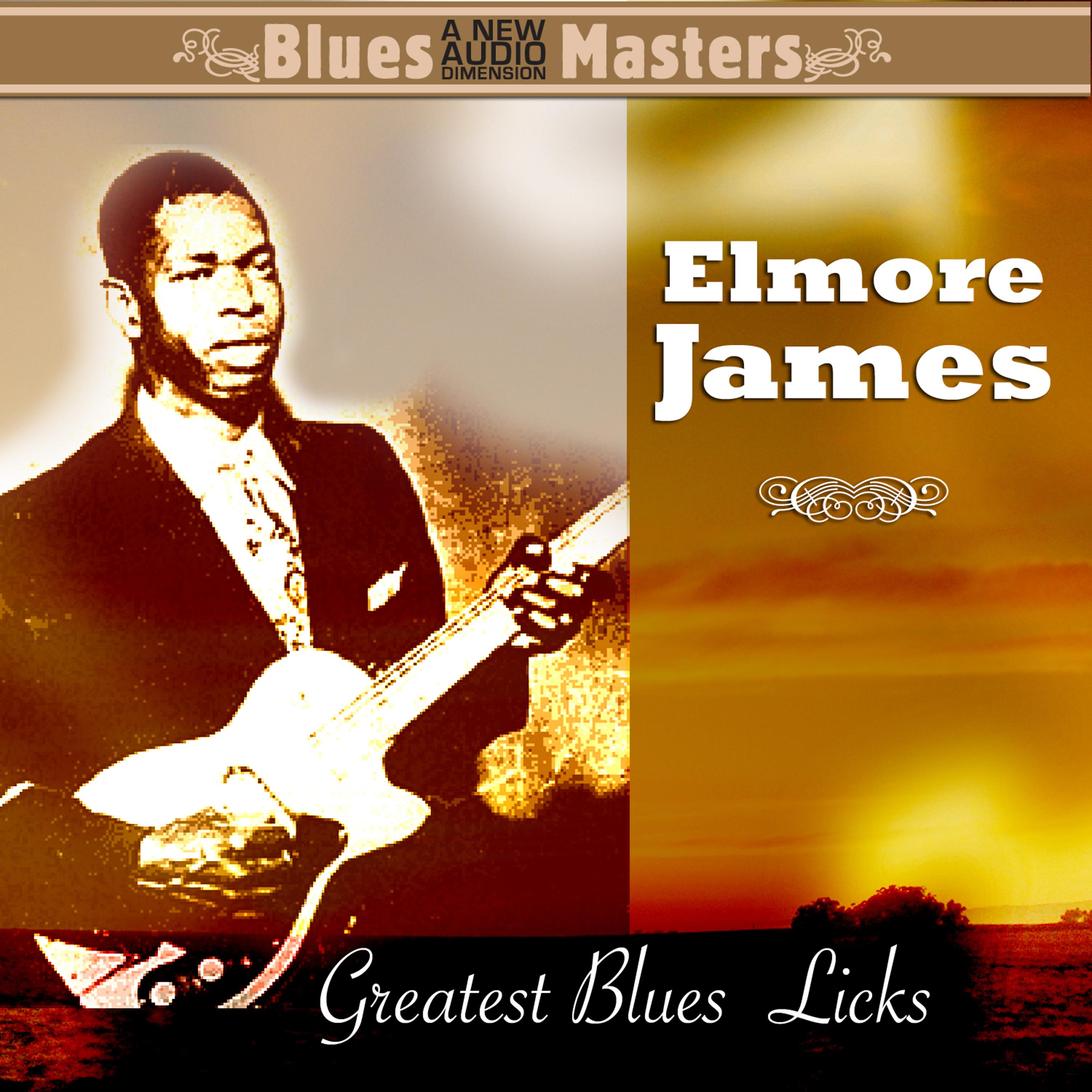 Постер альбома Greatest Blues Licks