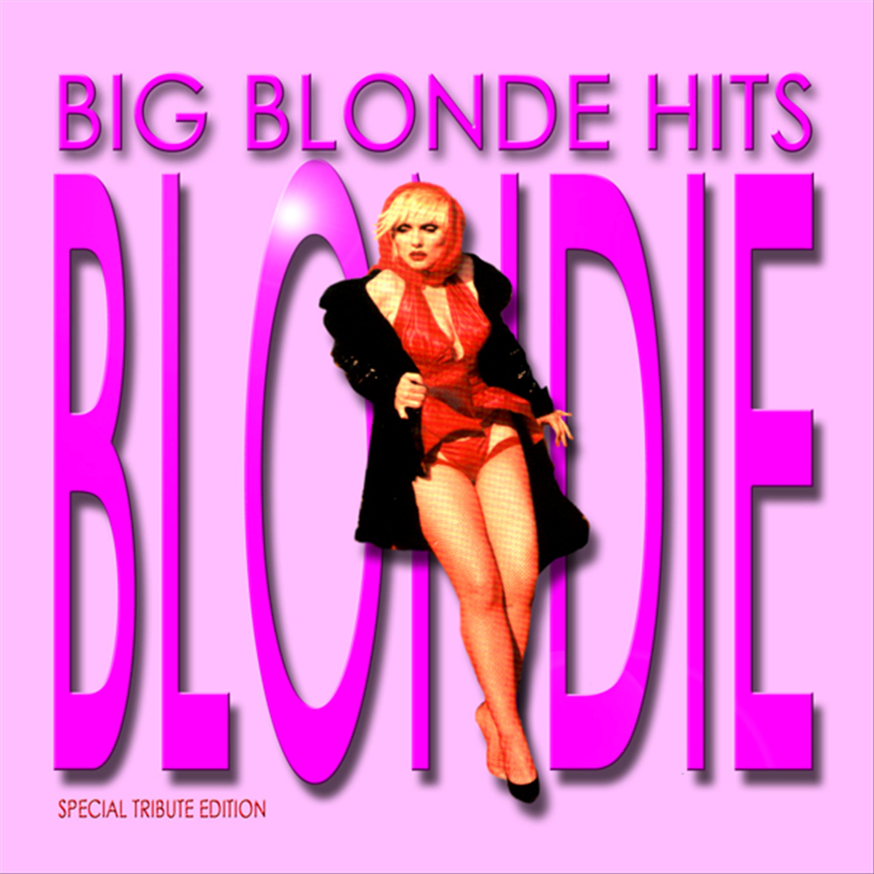 Постер альбома Tribute To: Blondie 1