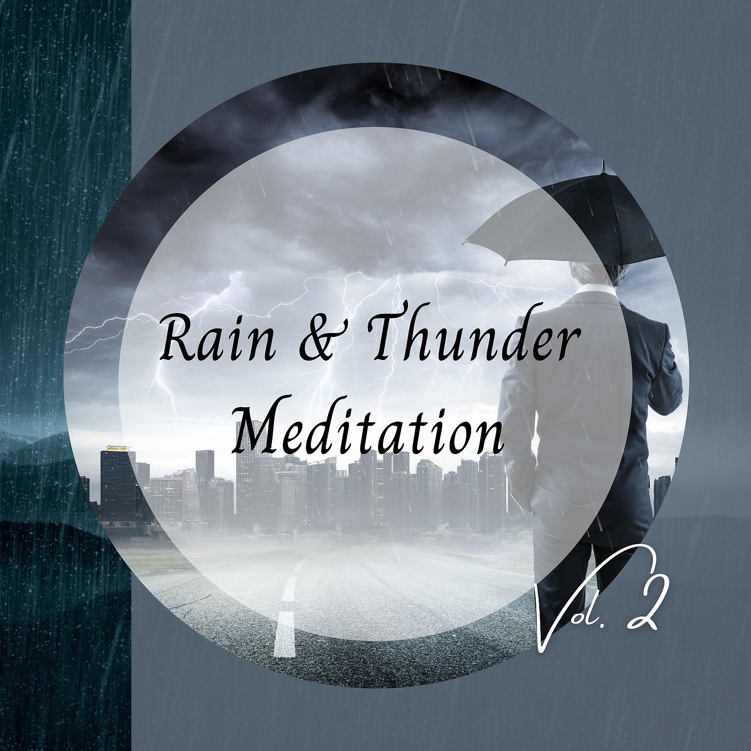 Постер альбома Rain & Thunder Meditation Vol. 2