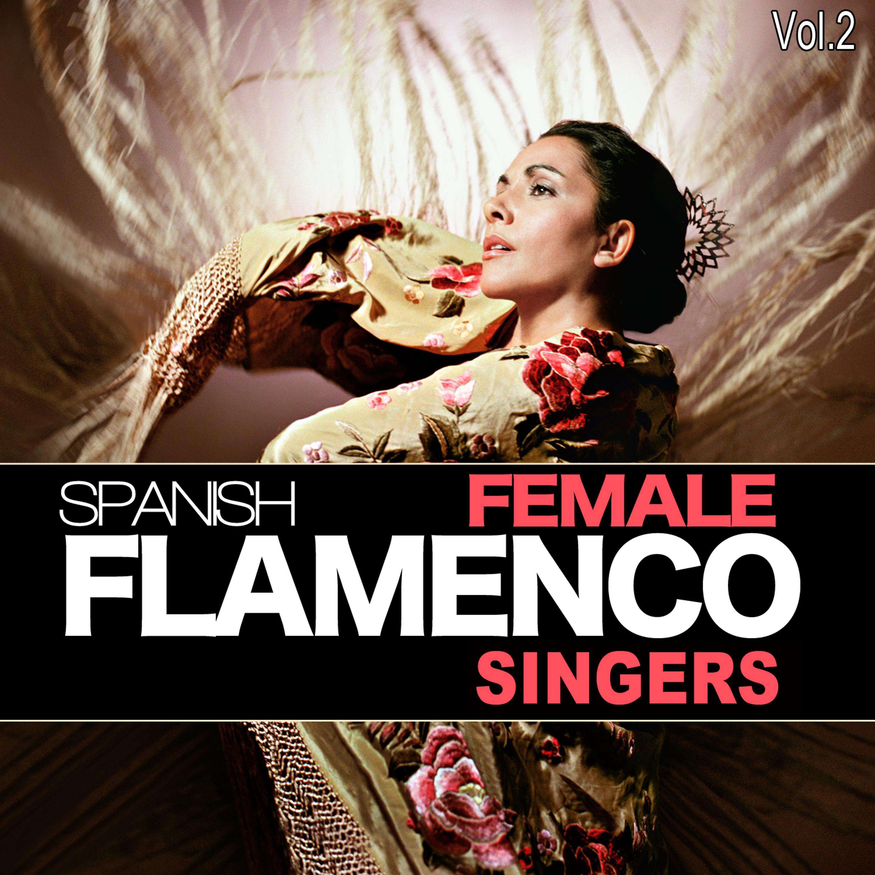 Постер альбома Spanish Female Flamenco Singers. vol.2