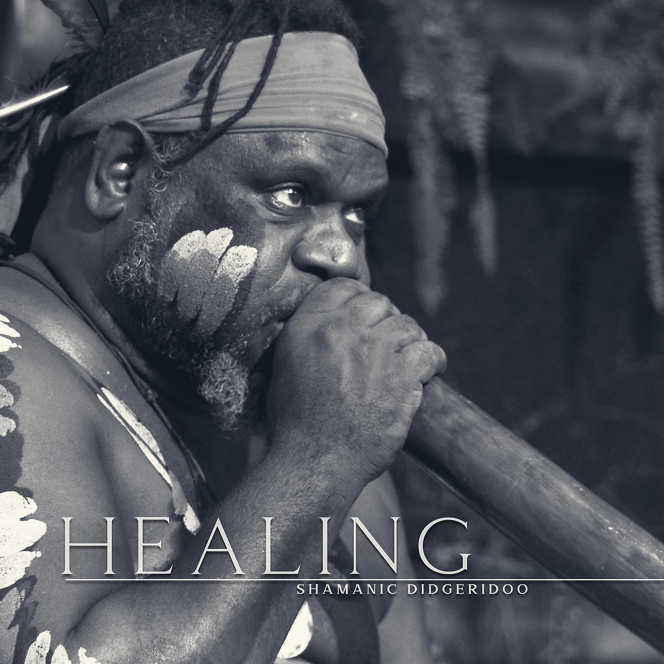 Постер альбома Healing Shamanic Didgeridoo