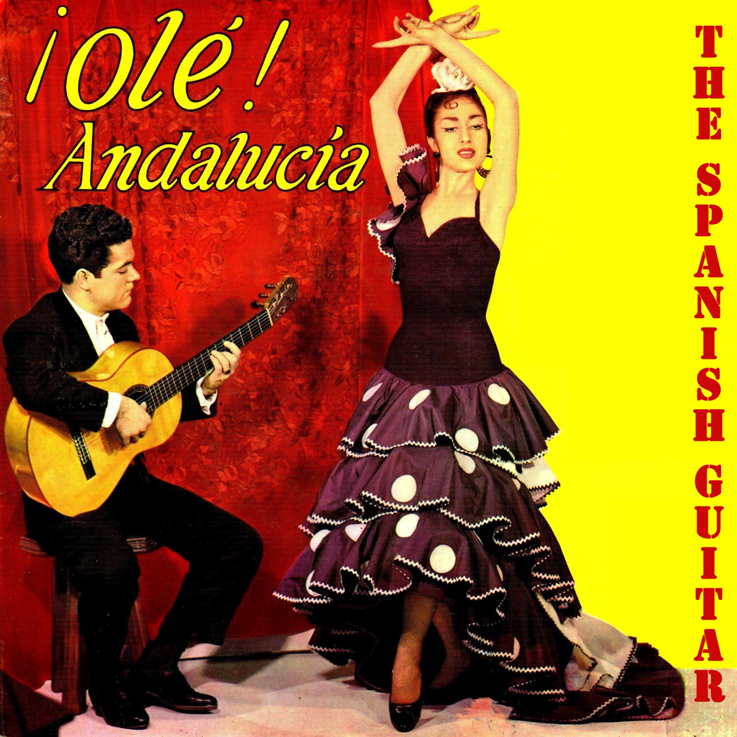 Постер альбома Flamenco School, Olé Andalucía!