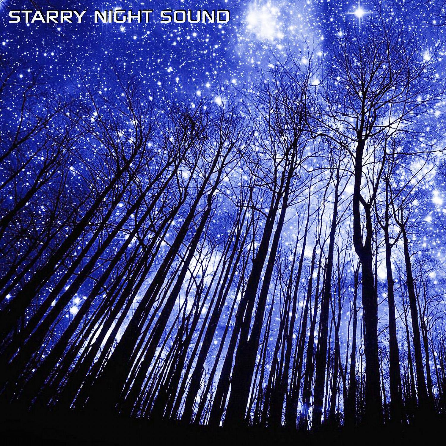 Постер альбома Starry Night Sound (feat. Soothing Nature Sounds, Discovery Nature Sound, Discovery Africa Sounds, Discovery Africa Soundscapes & Nature Soundscapes)