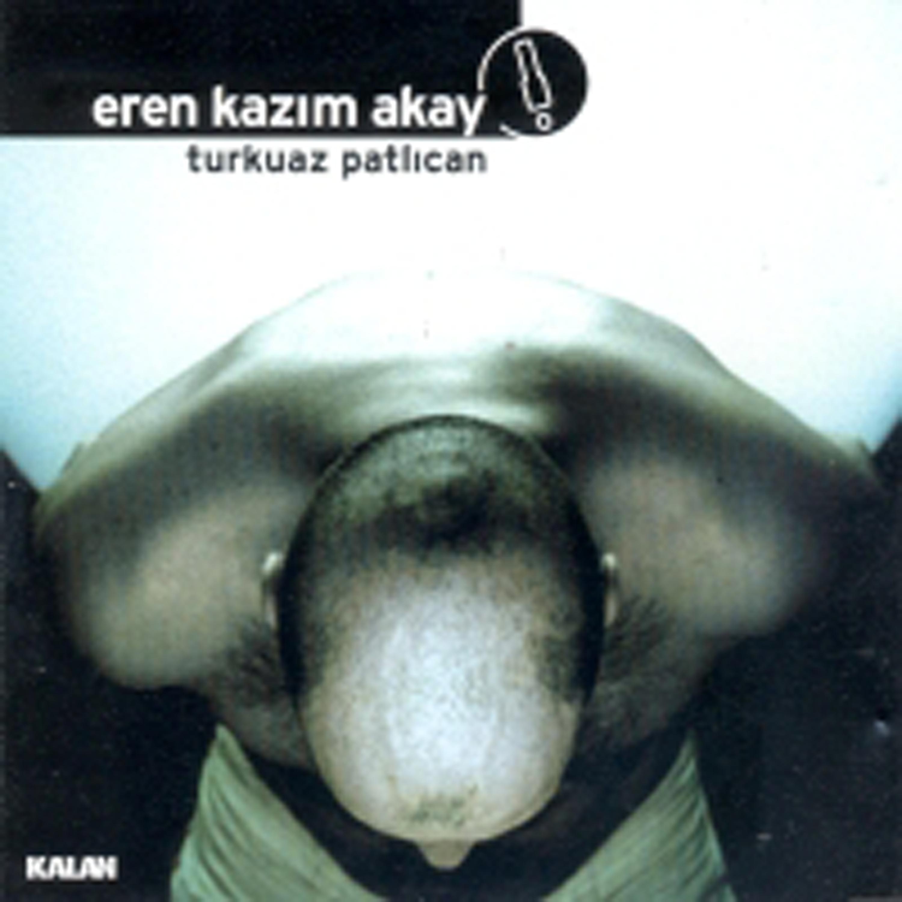 Постер альбома Turkuaz Patlıcan