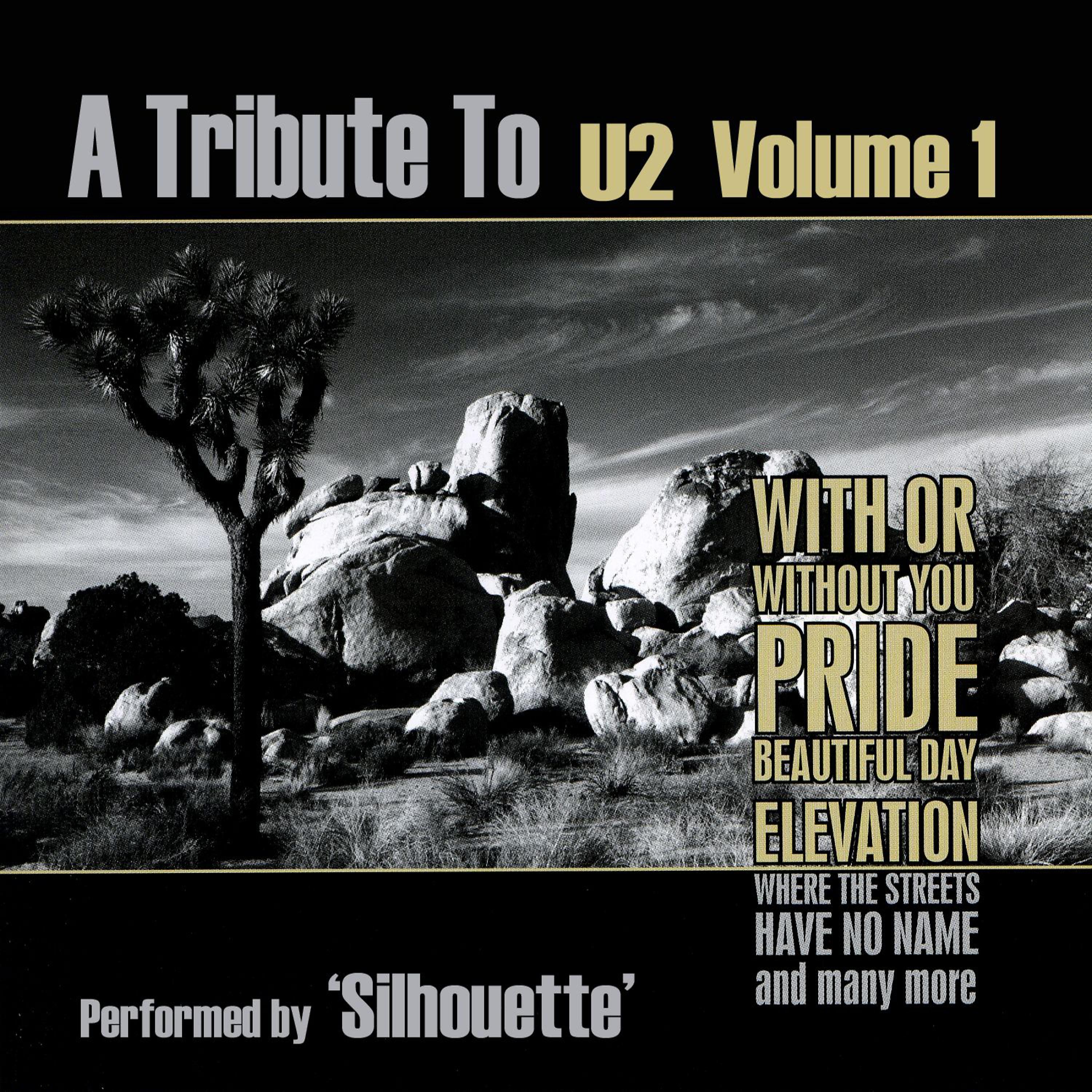 Постер альбома A Tribute to U2 Volume 1
