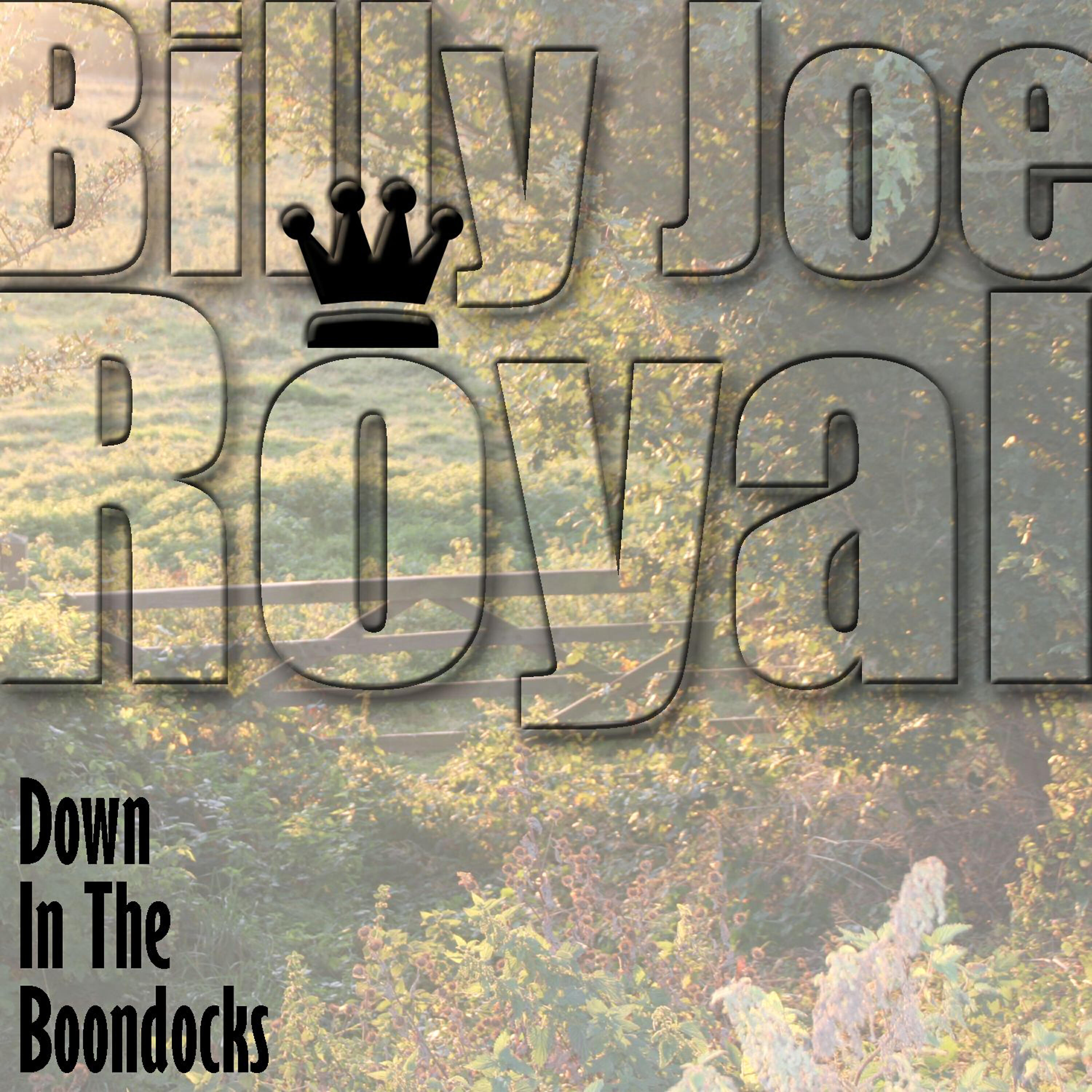 Billy Joe Royal - Cherry Hill Park