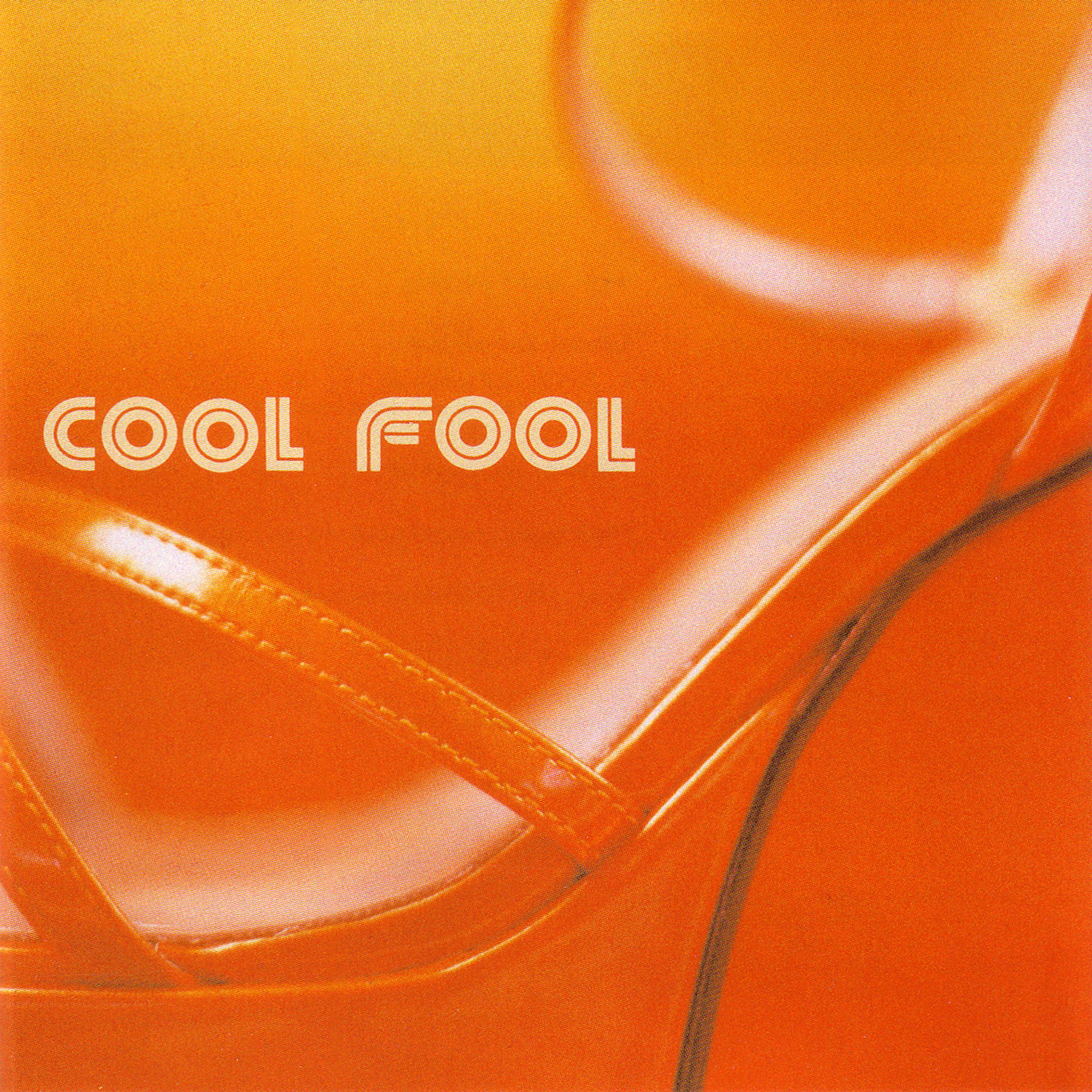 Постер альбома Cool Fool