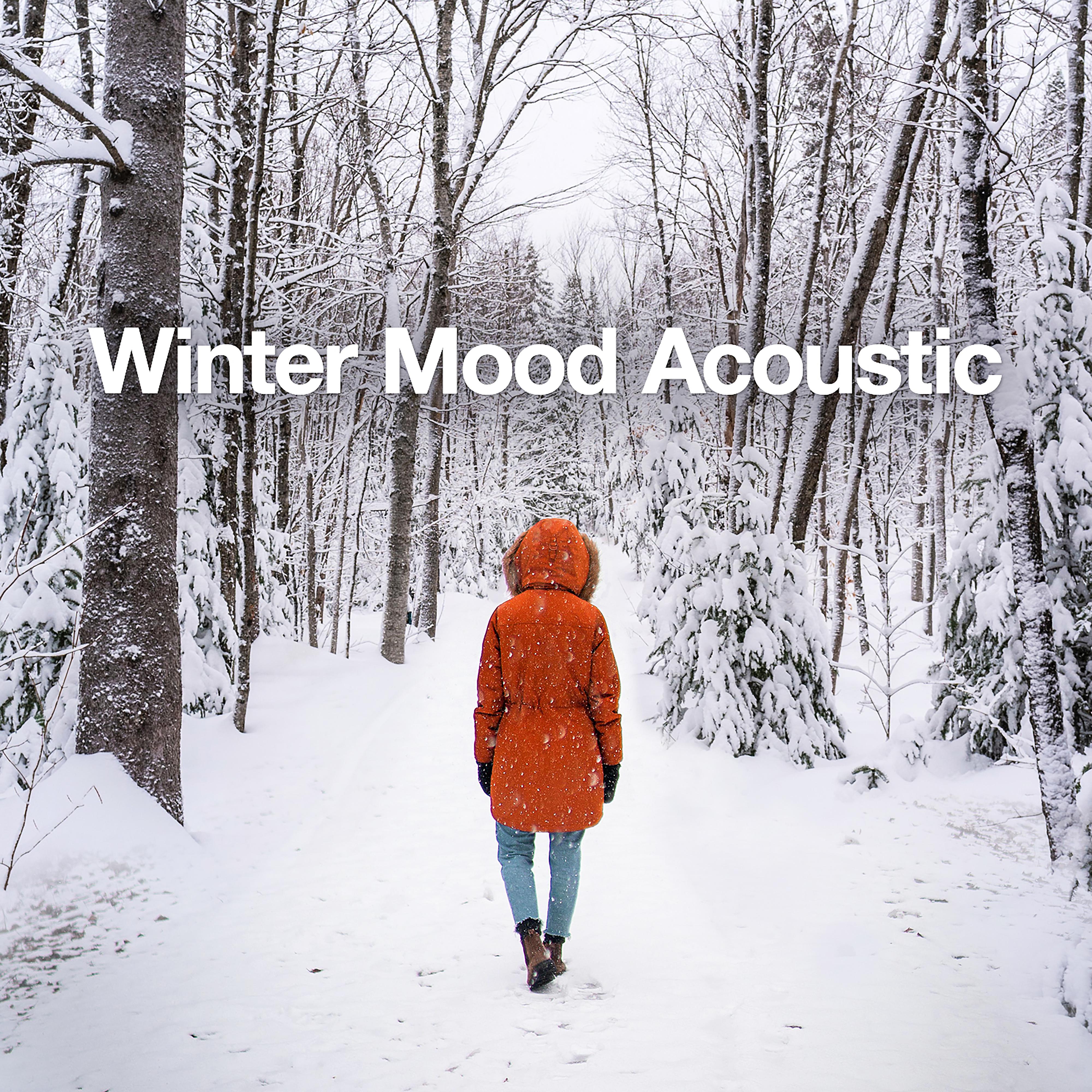 Постер альбома Winter Mood Acoustic