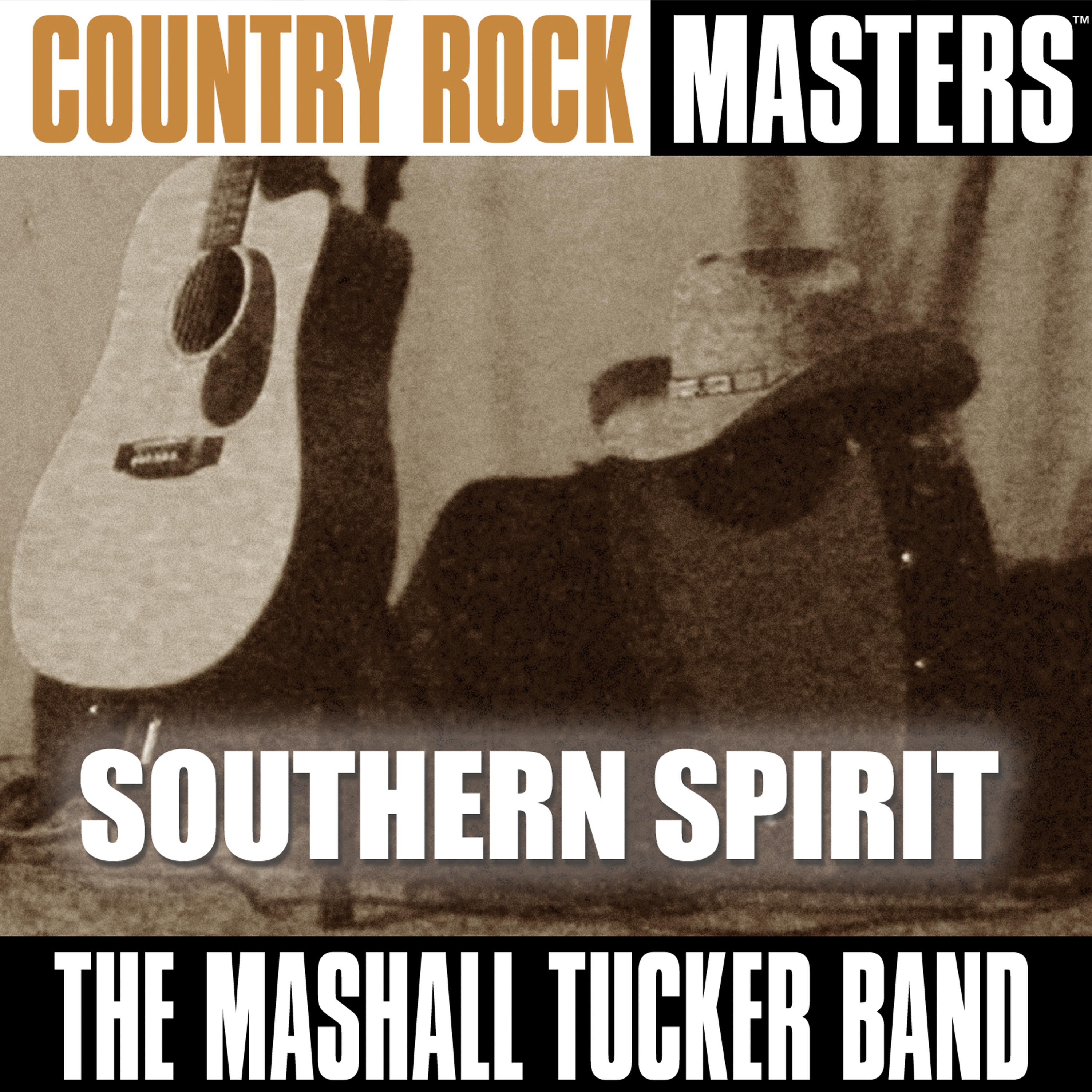 Постер альбома Country Rock Masters: Southern Spirit