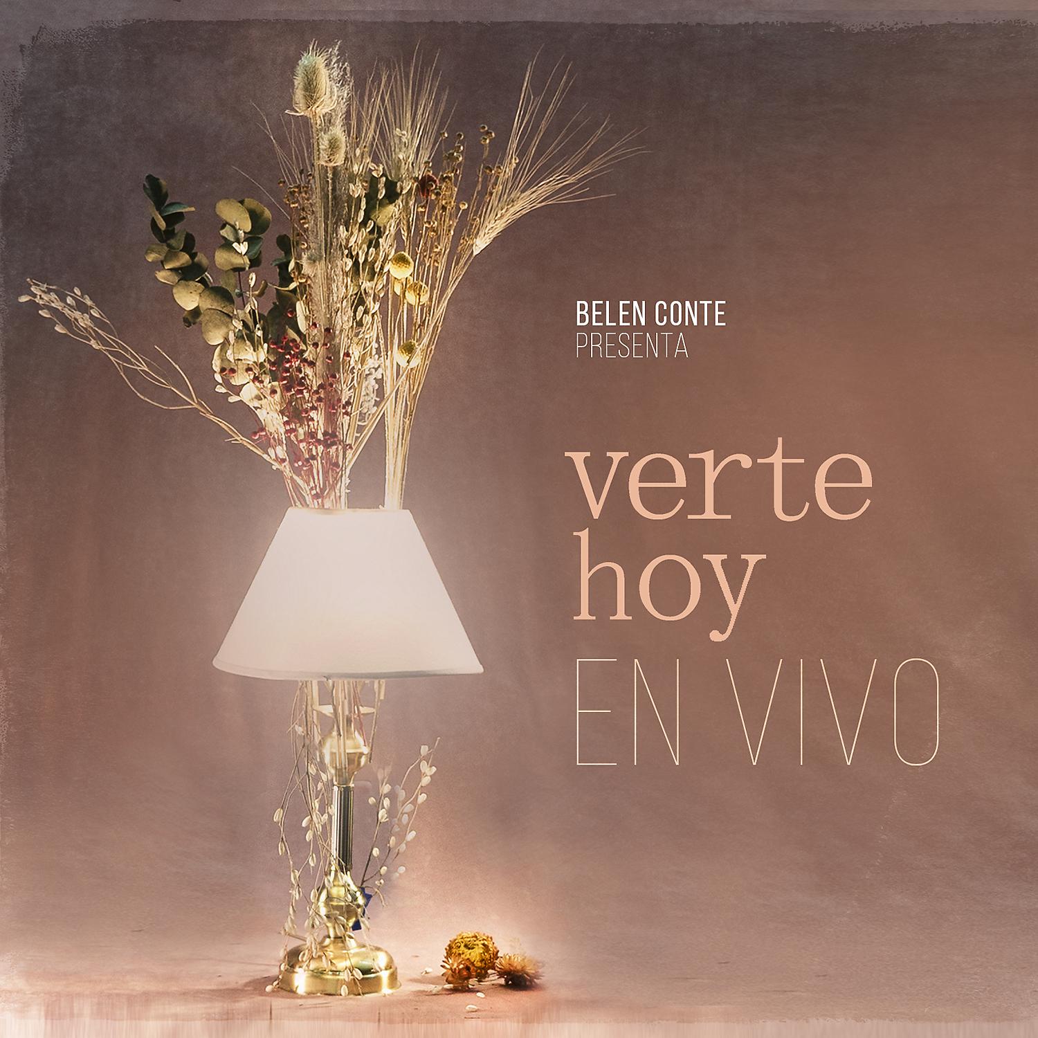 Постер альбома Verte Hoy (En Vivo)