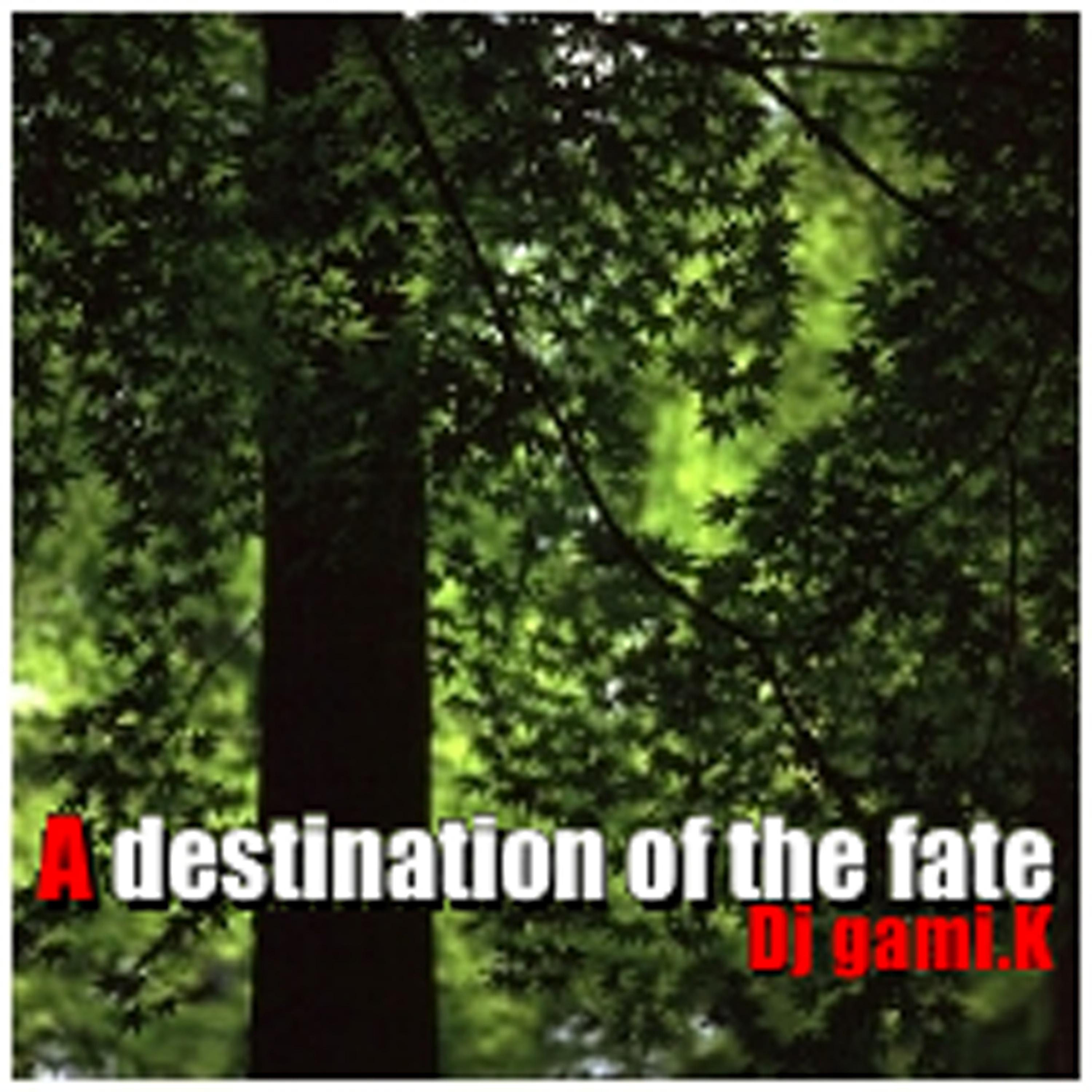Постер альбома A destination of the fate