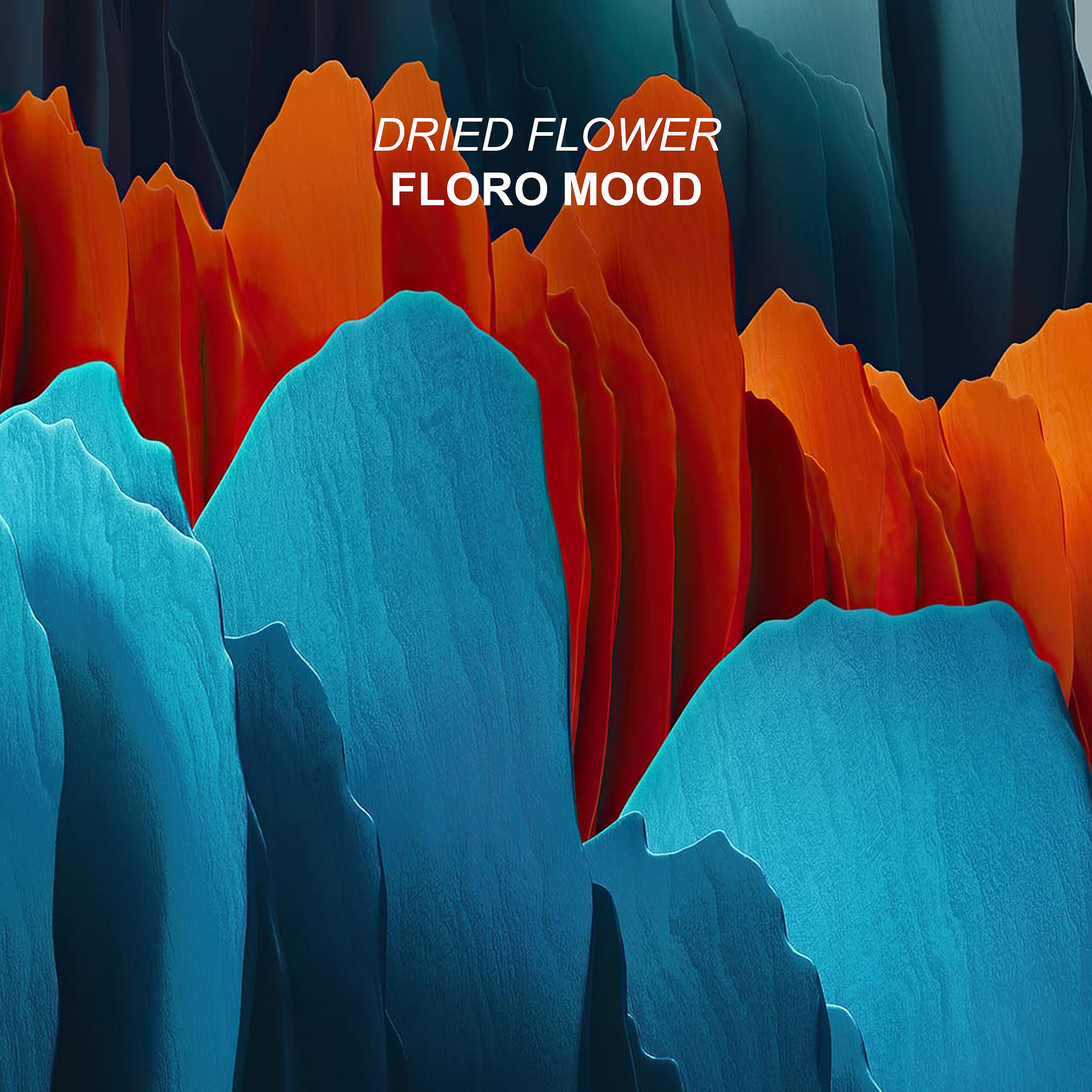 Постер альбома Floro Mood