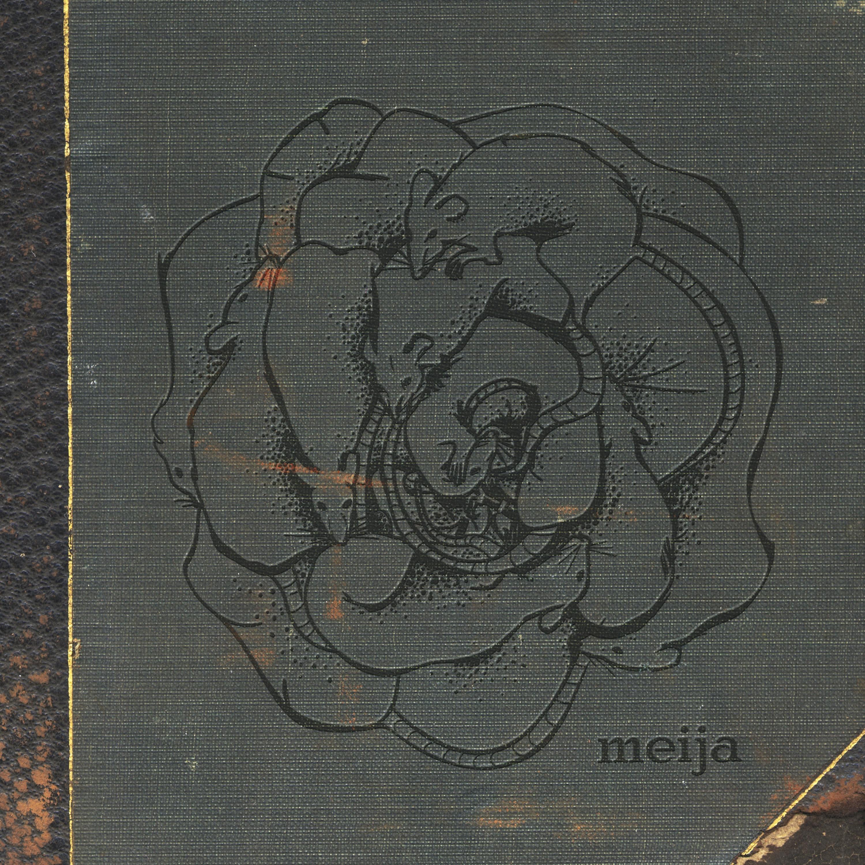 Постер альбома Meija