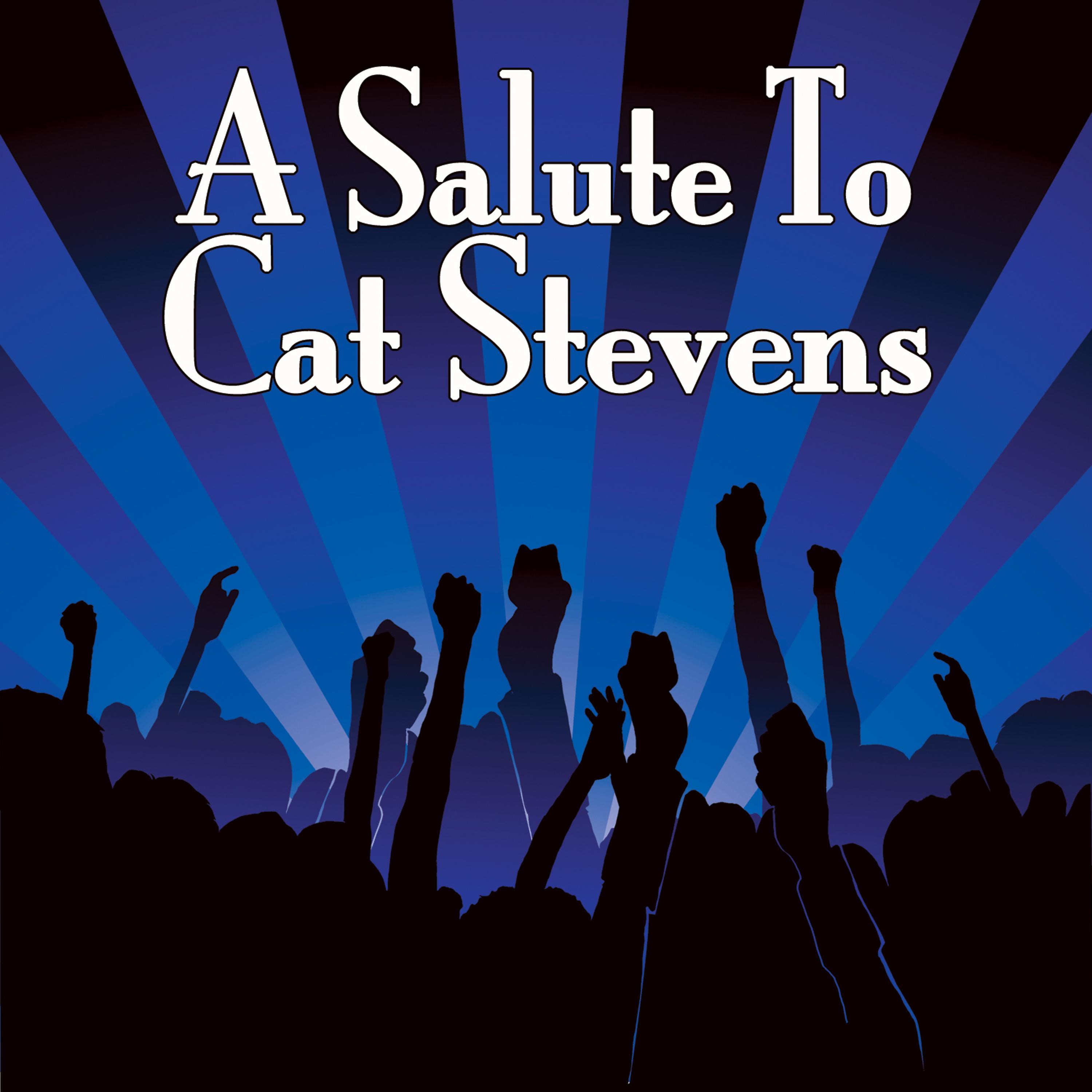 Постер альбома A Salute To Cat Stevens