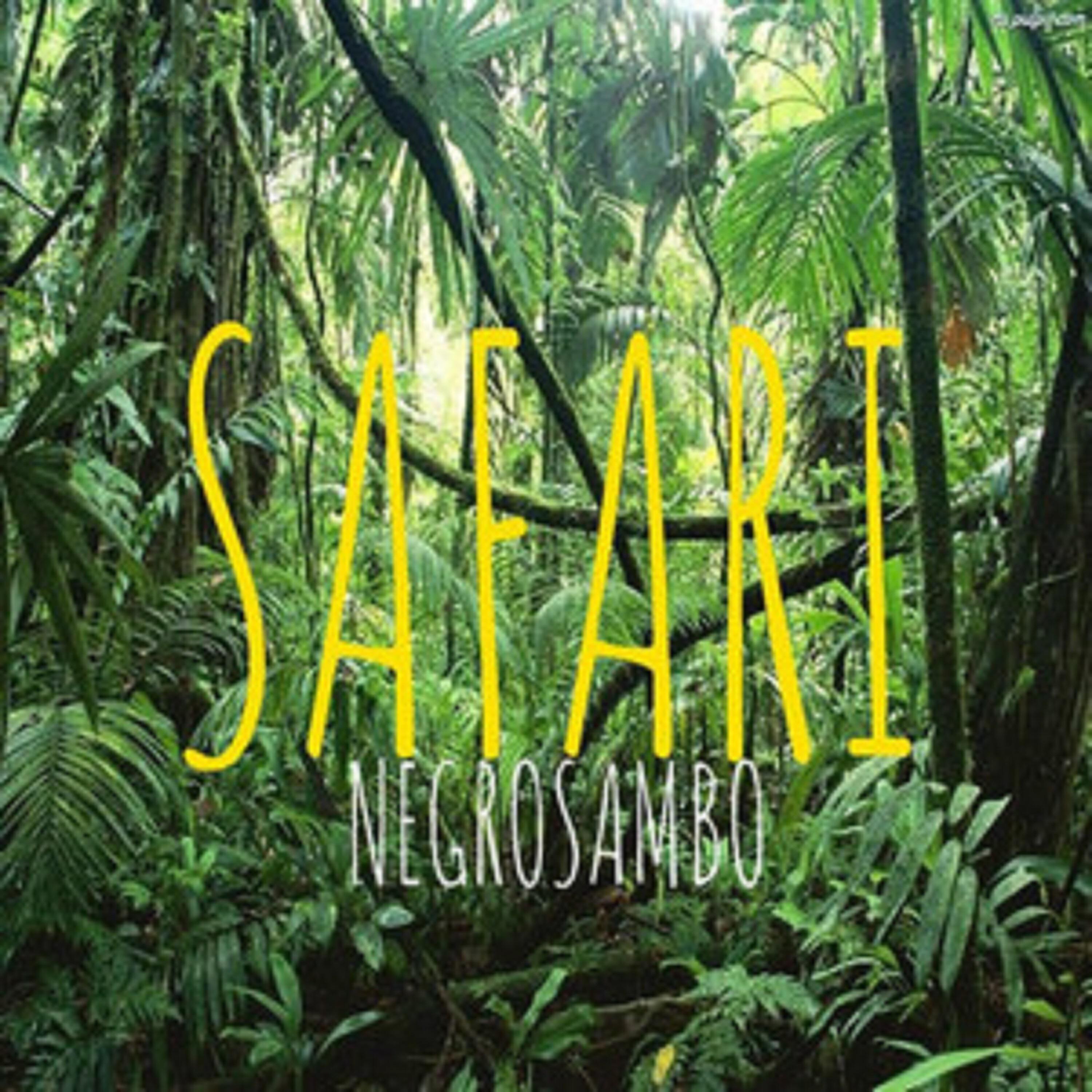 Negro Sambo - Safari