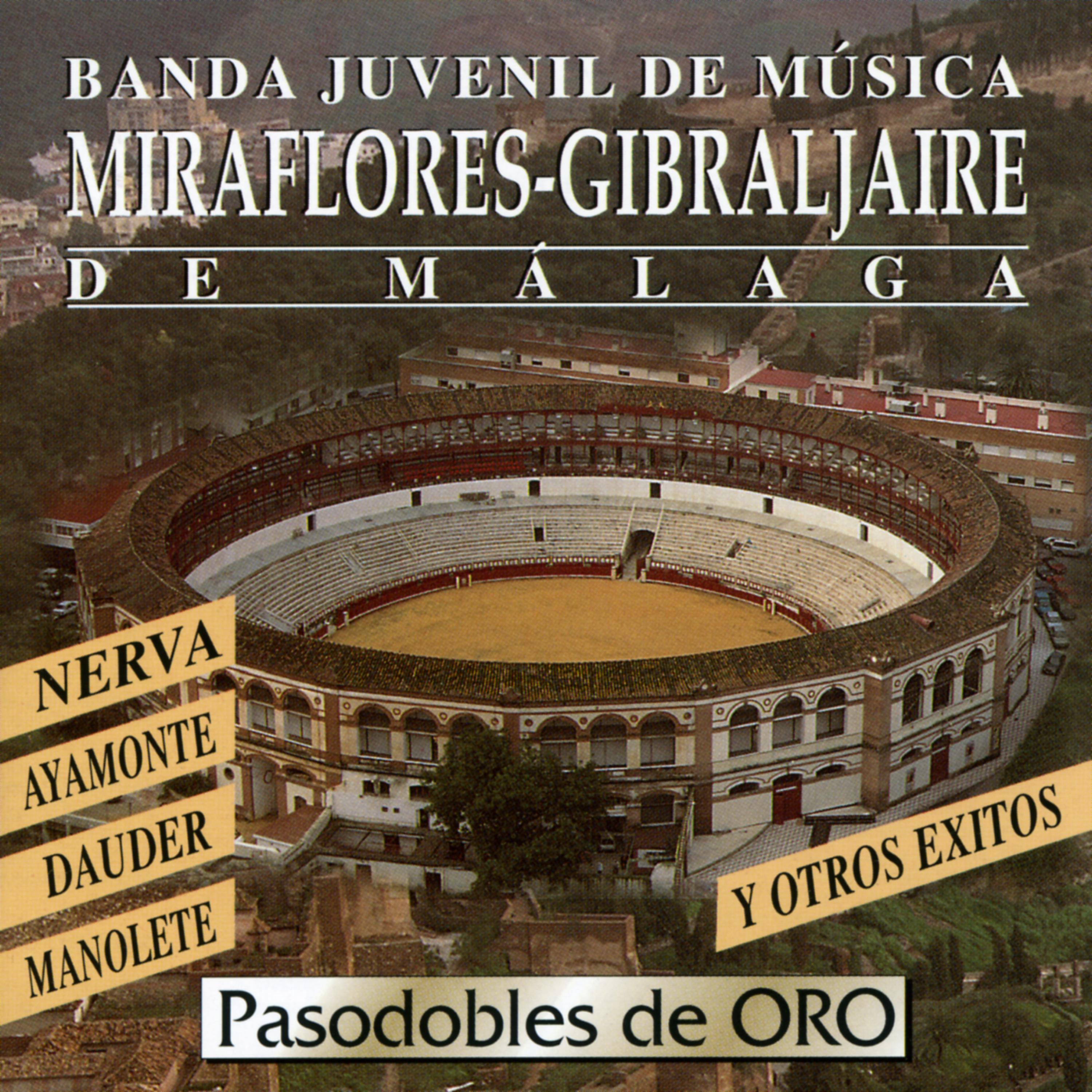 Постер альбома Pasodobles de Oro