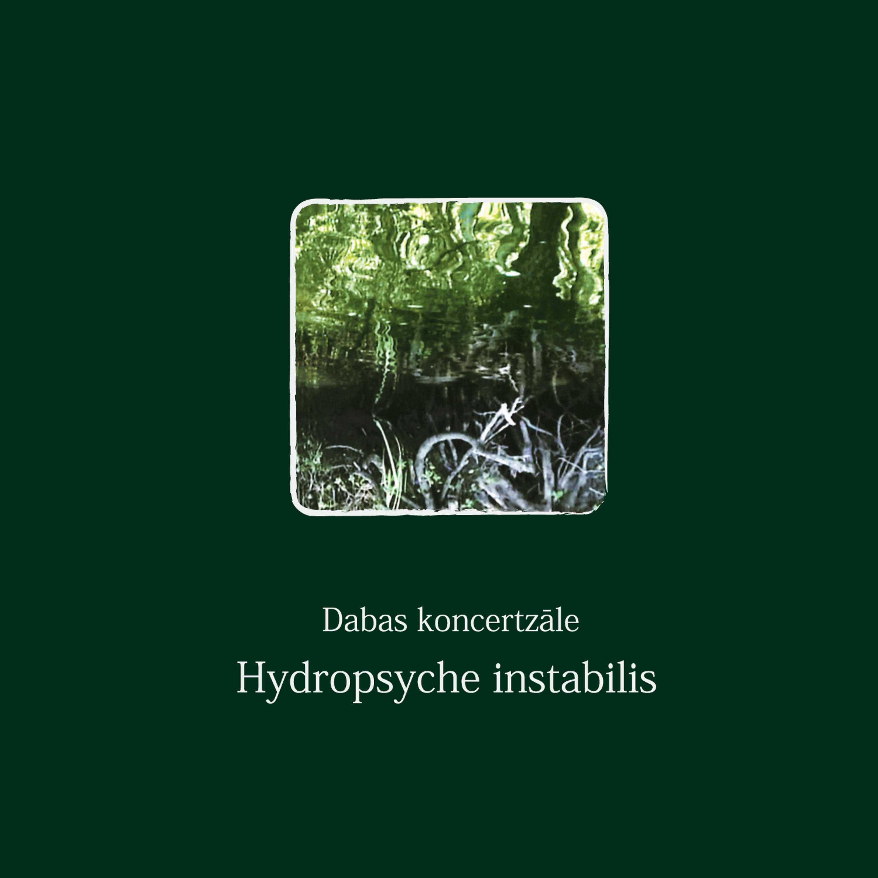 Постер альбома Hydropsyche instabilis