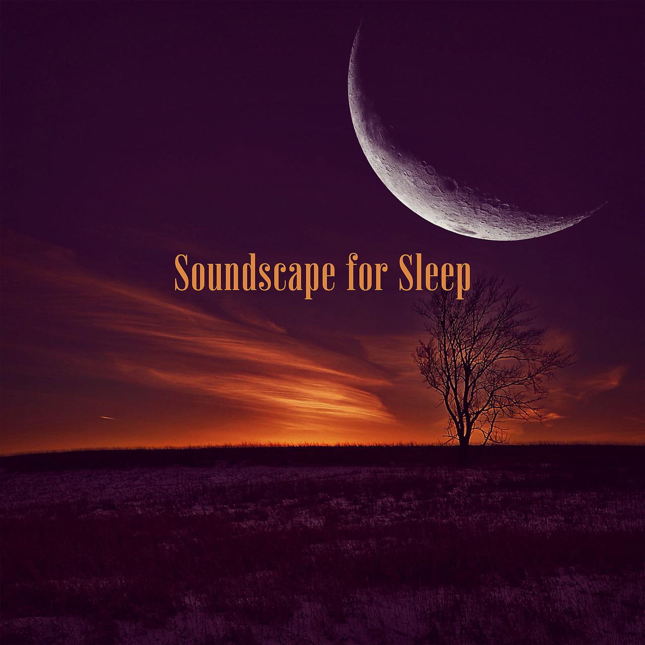 Постер альбома Soundscape for Sleep