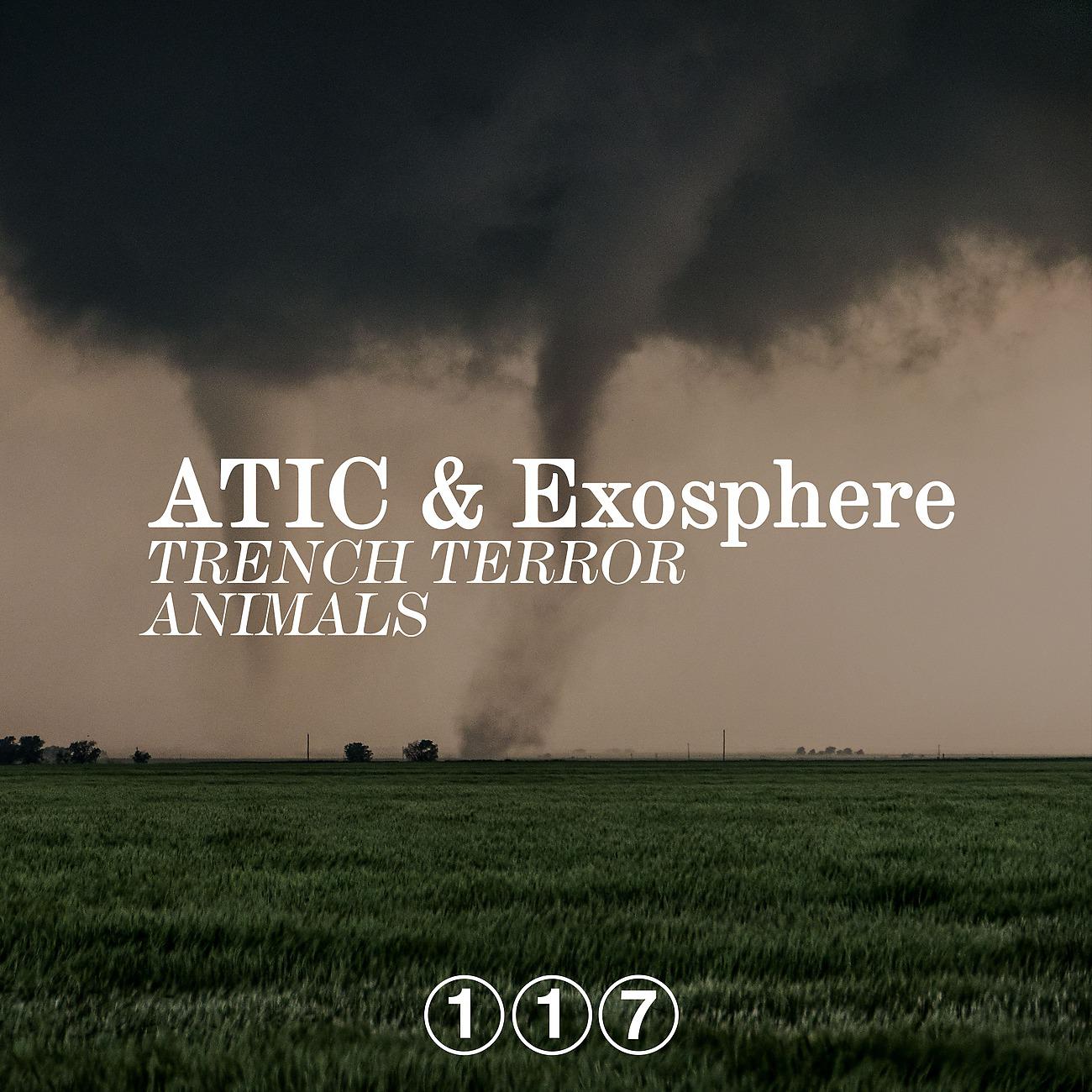 Постер альбома Trench Terror / Animals