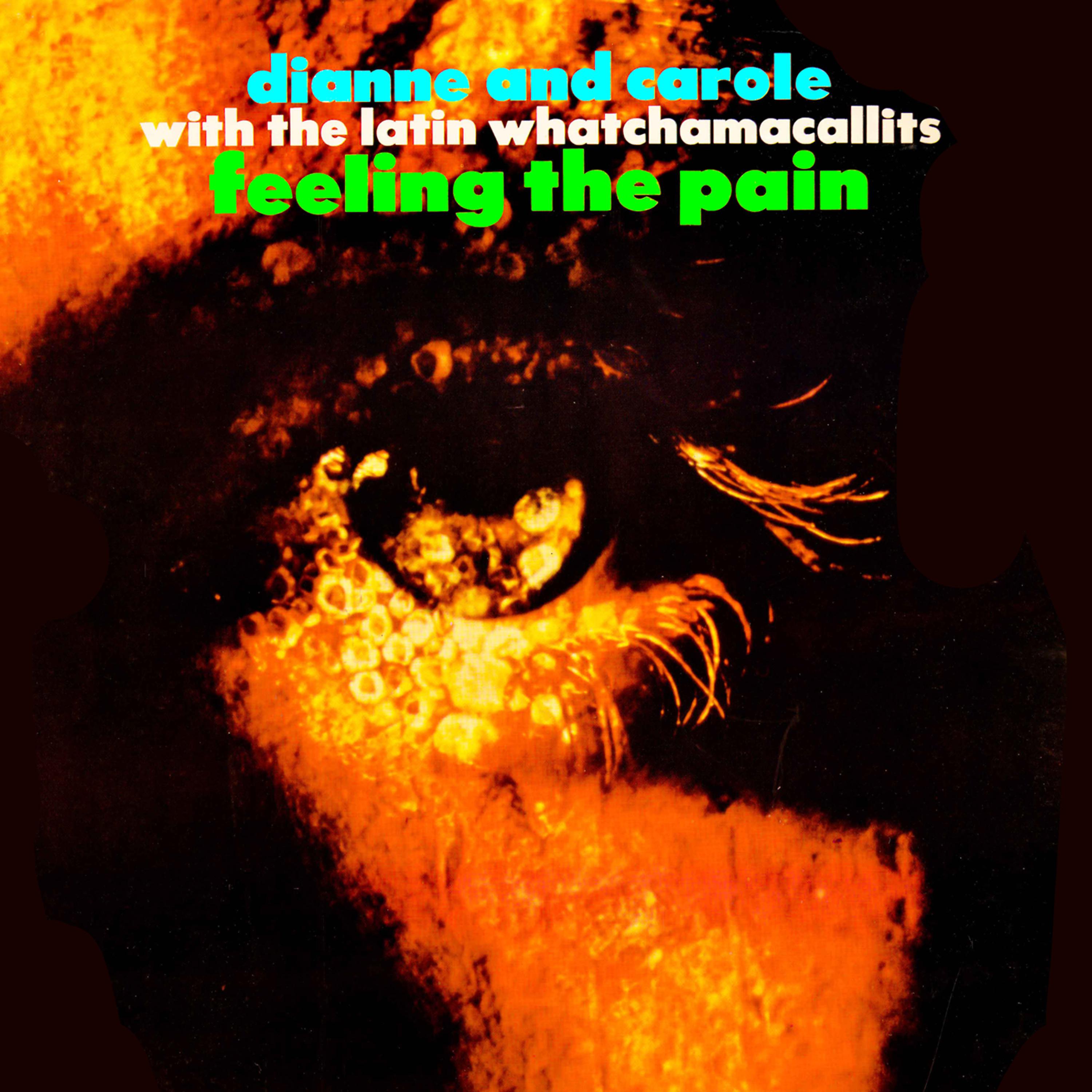 Постер альбома Feeling The Pain