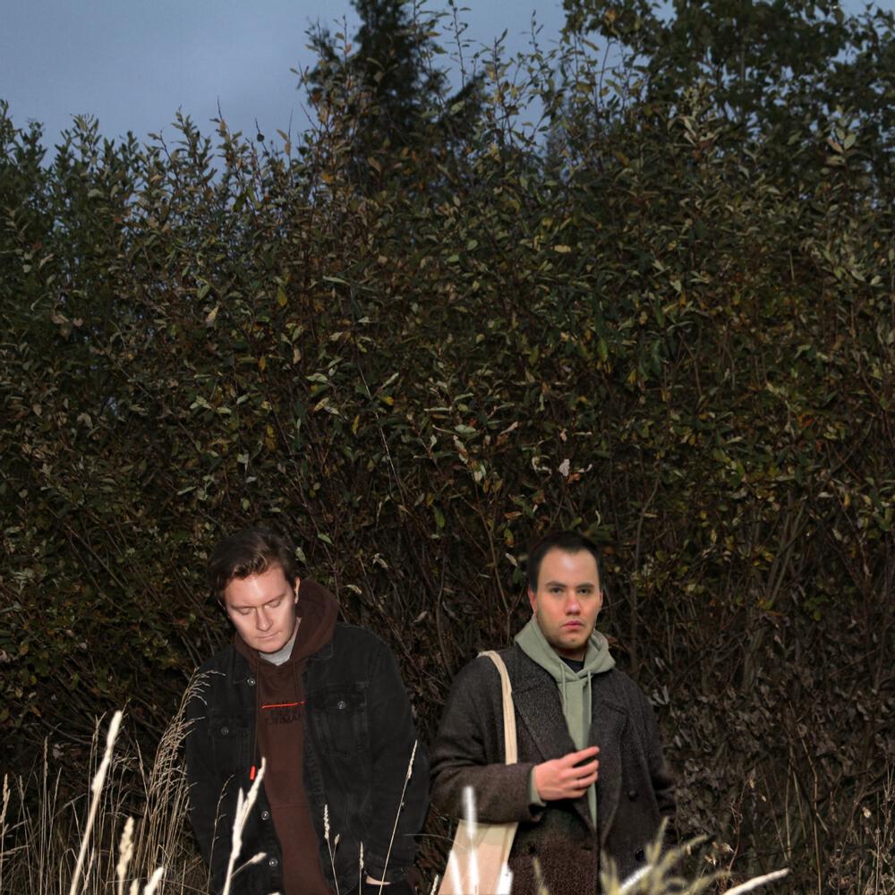 дескать все песни в mp3