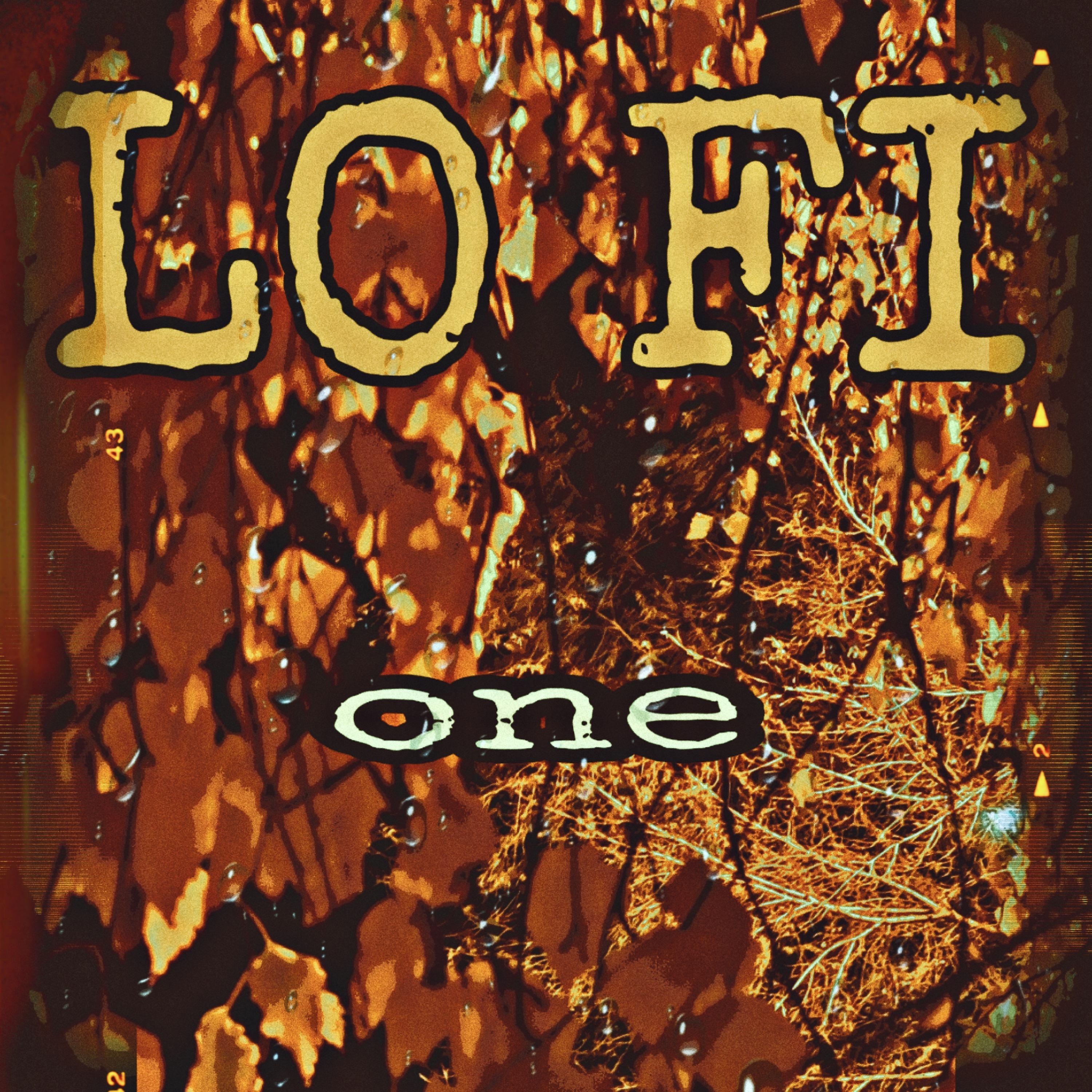 Постер альбома Lofi One
