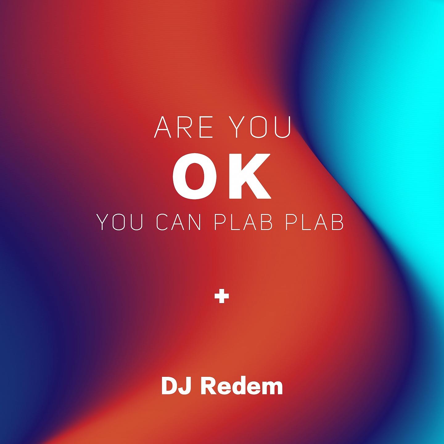 Постер альбома Are You Ok You Can Plab Plab