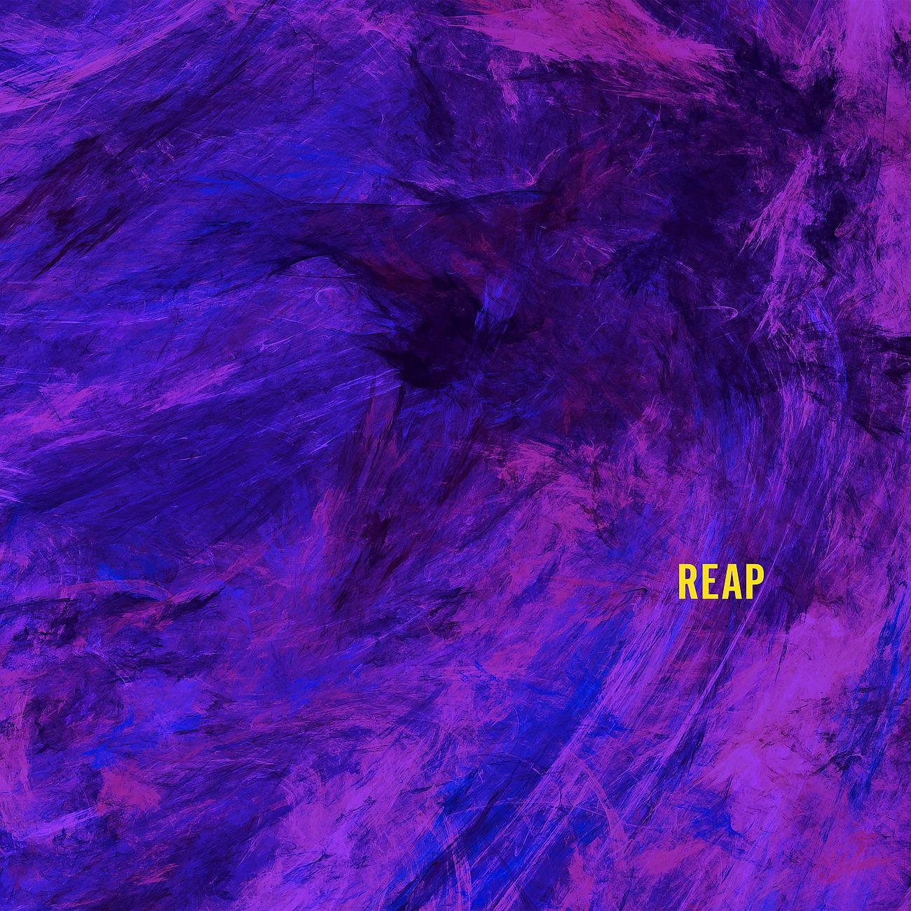 Постер альбома Reap