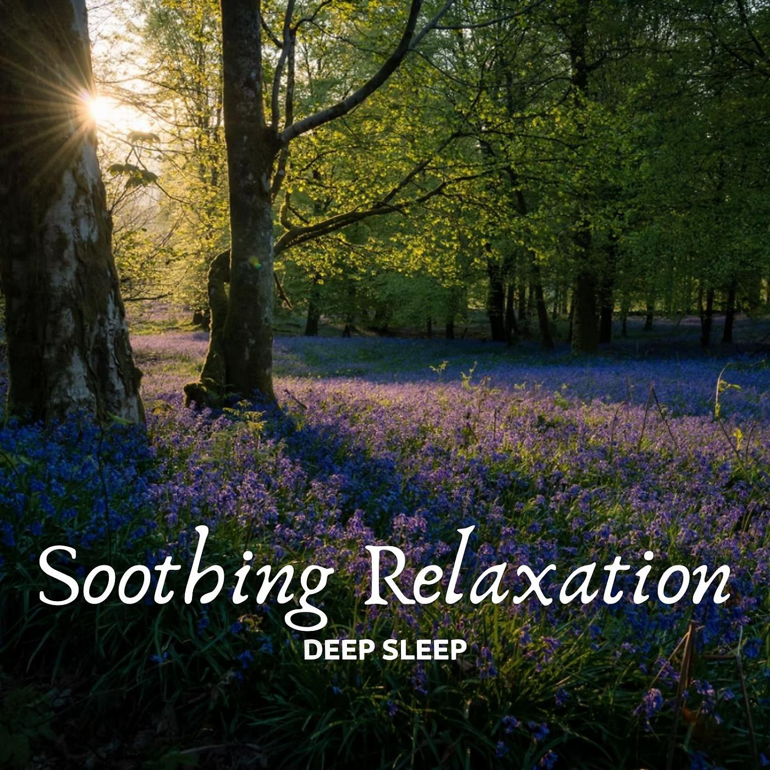 Постер альбома Deep Sleep: Soothing Relaxation