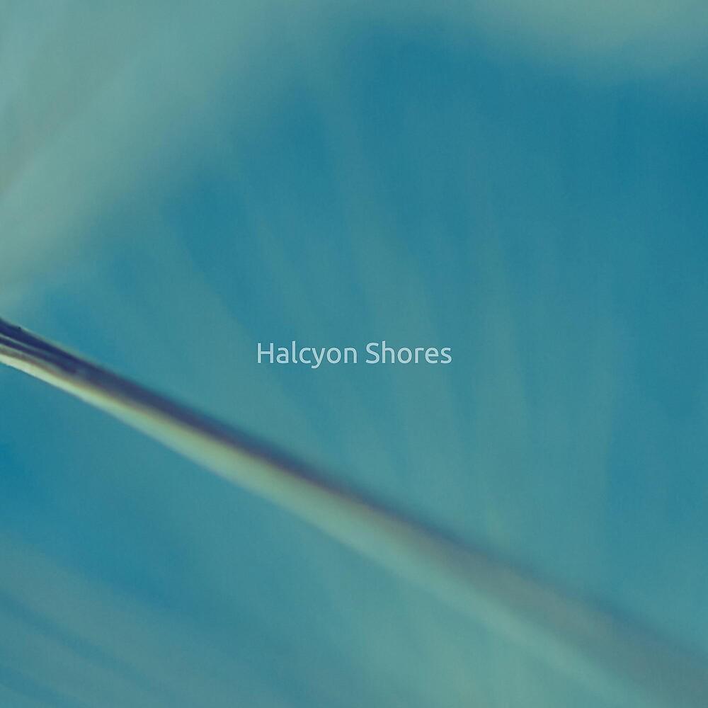 Постер альбома Halcyon Shores
