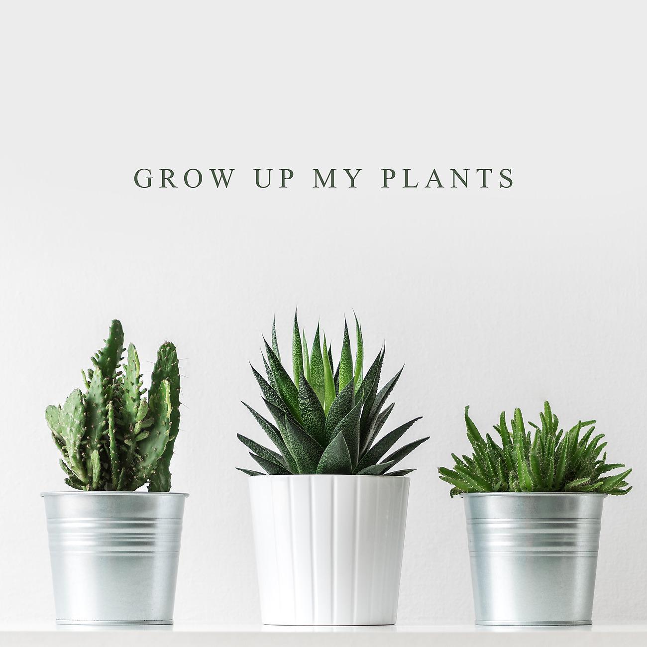 Постер альбома Grow up My Plants