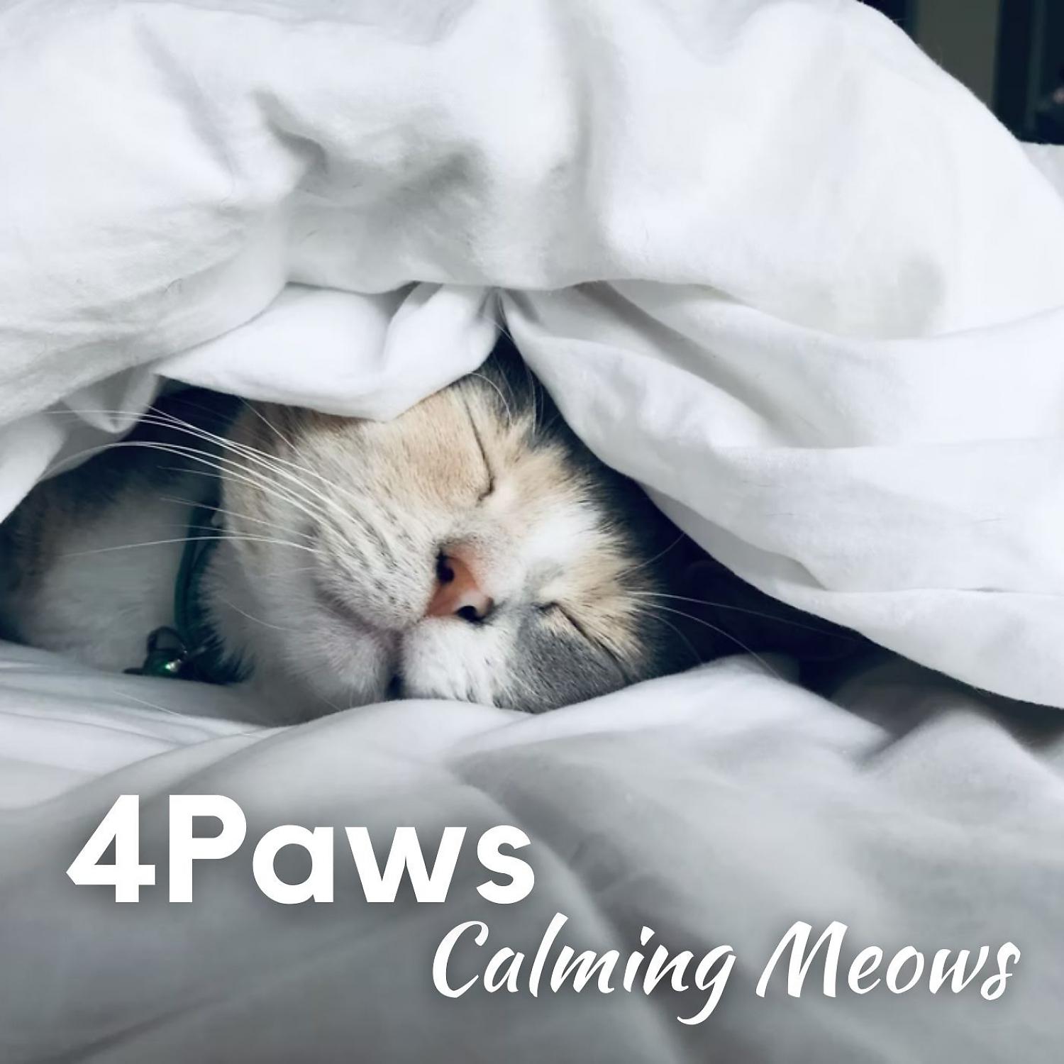 Постер альбома 4Paws: Calming Meows
