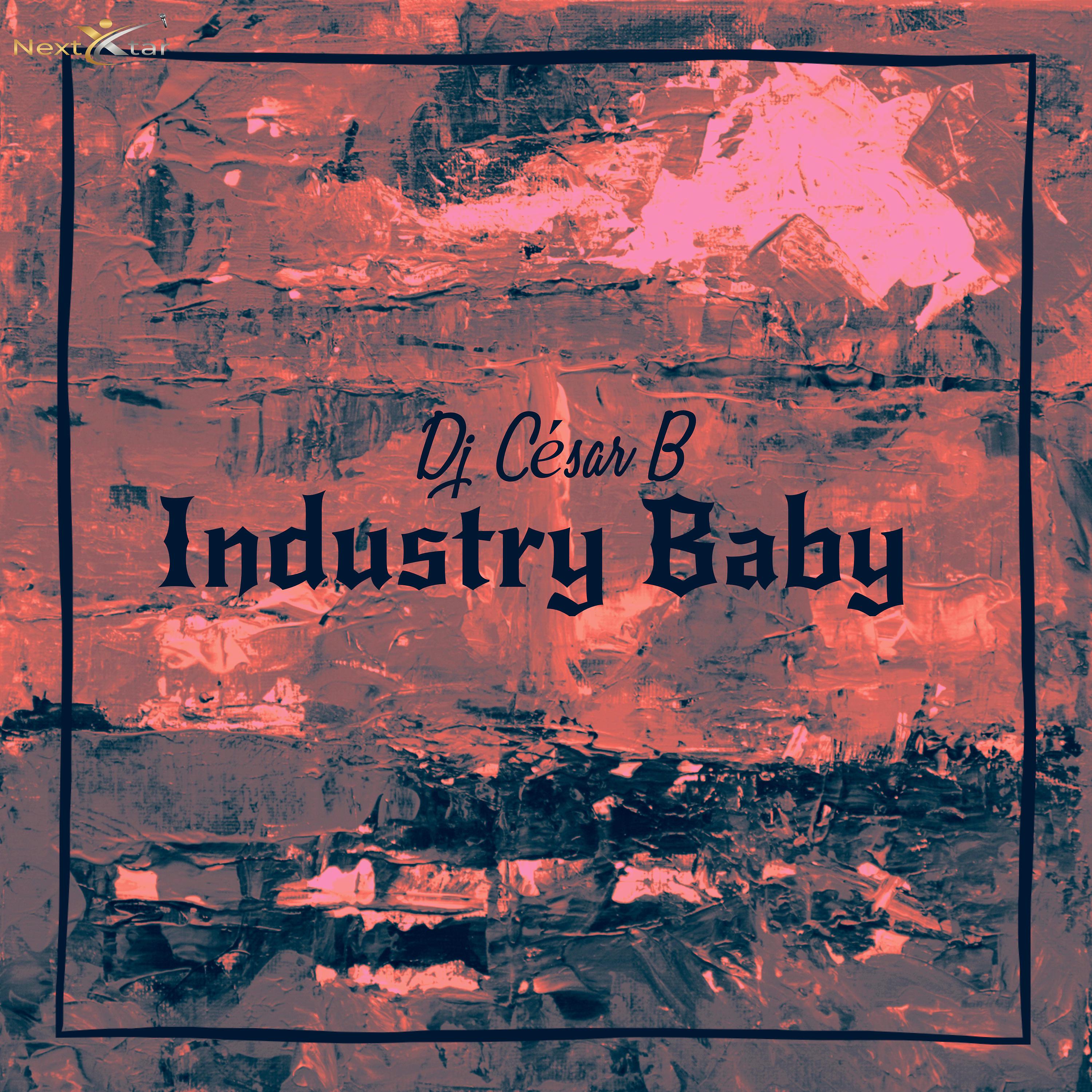Постер альбома Industry Baby