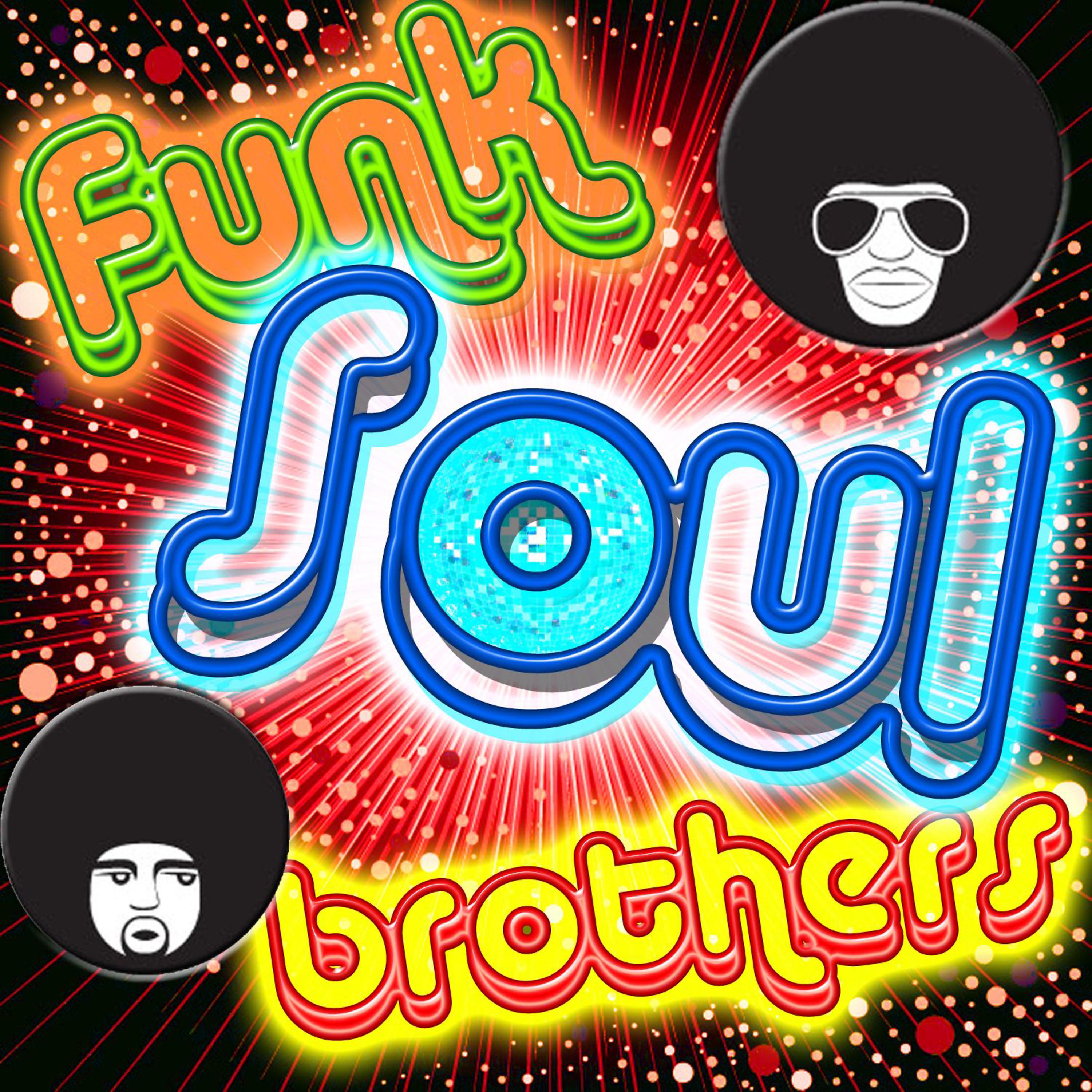 Постер альбома Funk Soul Brothers