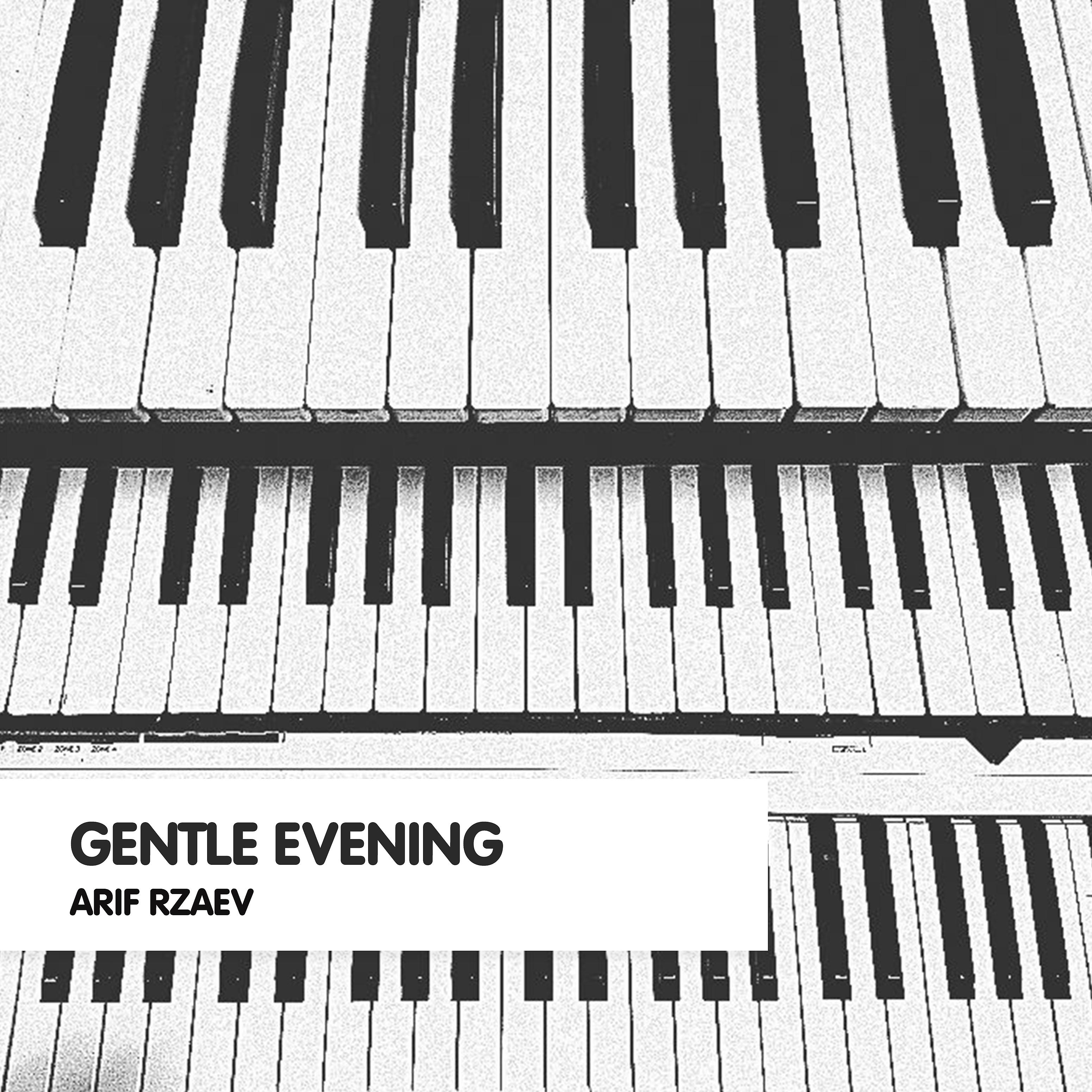 Постер альбома Gentle Evening