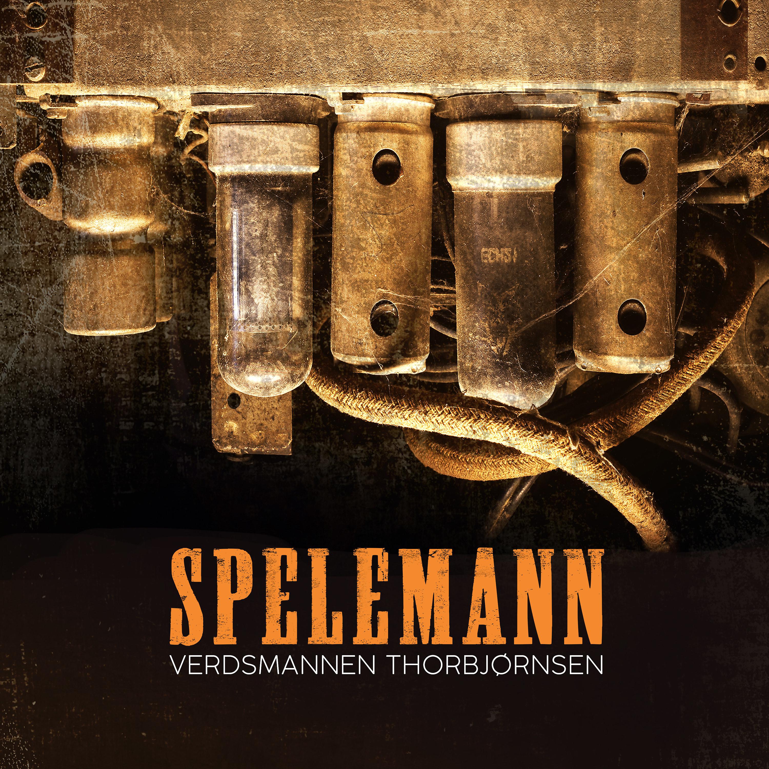 Постер альбома Spelemann